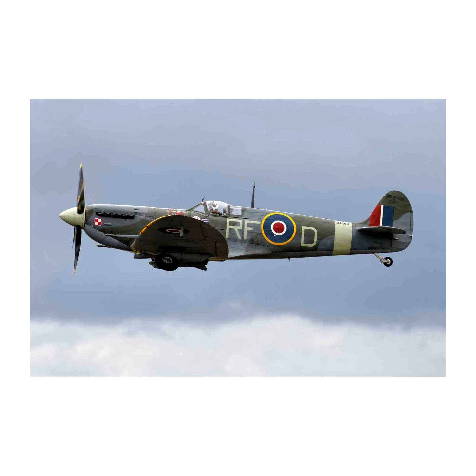 WWII Spitfire 'RF-D' Vintage Aviation Wall Art
