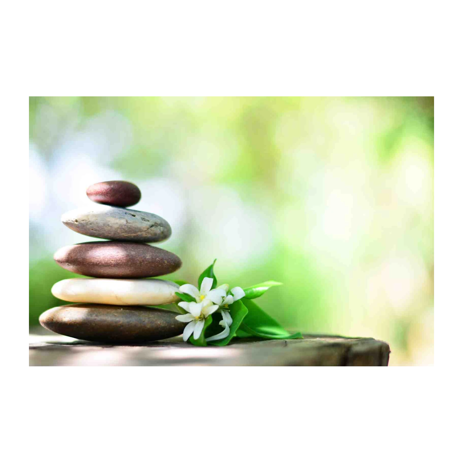 Zen Balance Stones & Flowers Wall Art