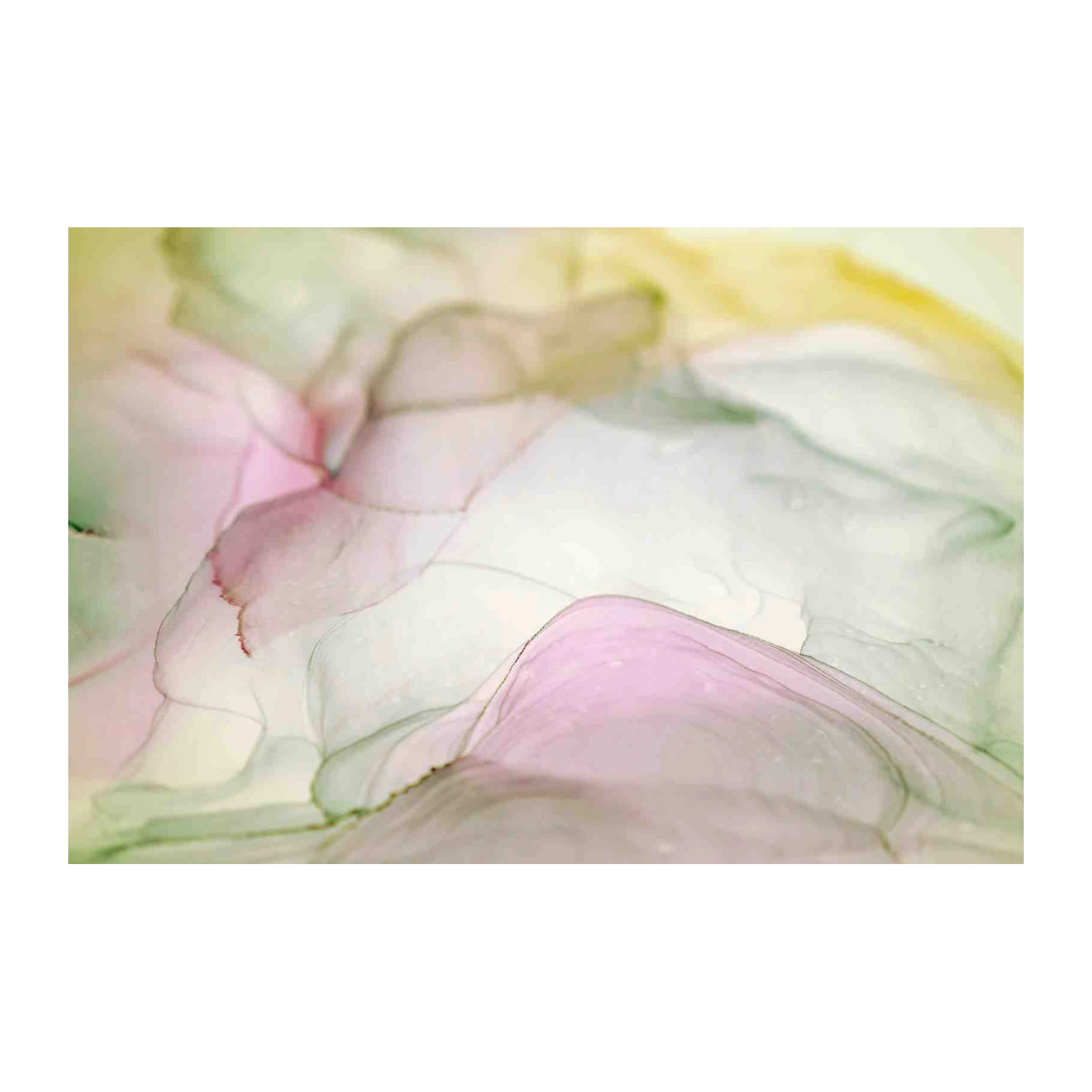 Serene Abstract Blush & Sage Wall Art
