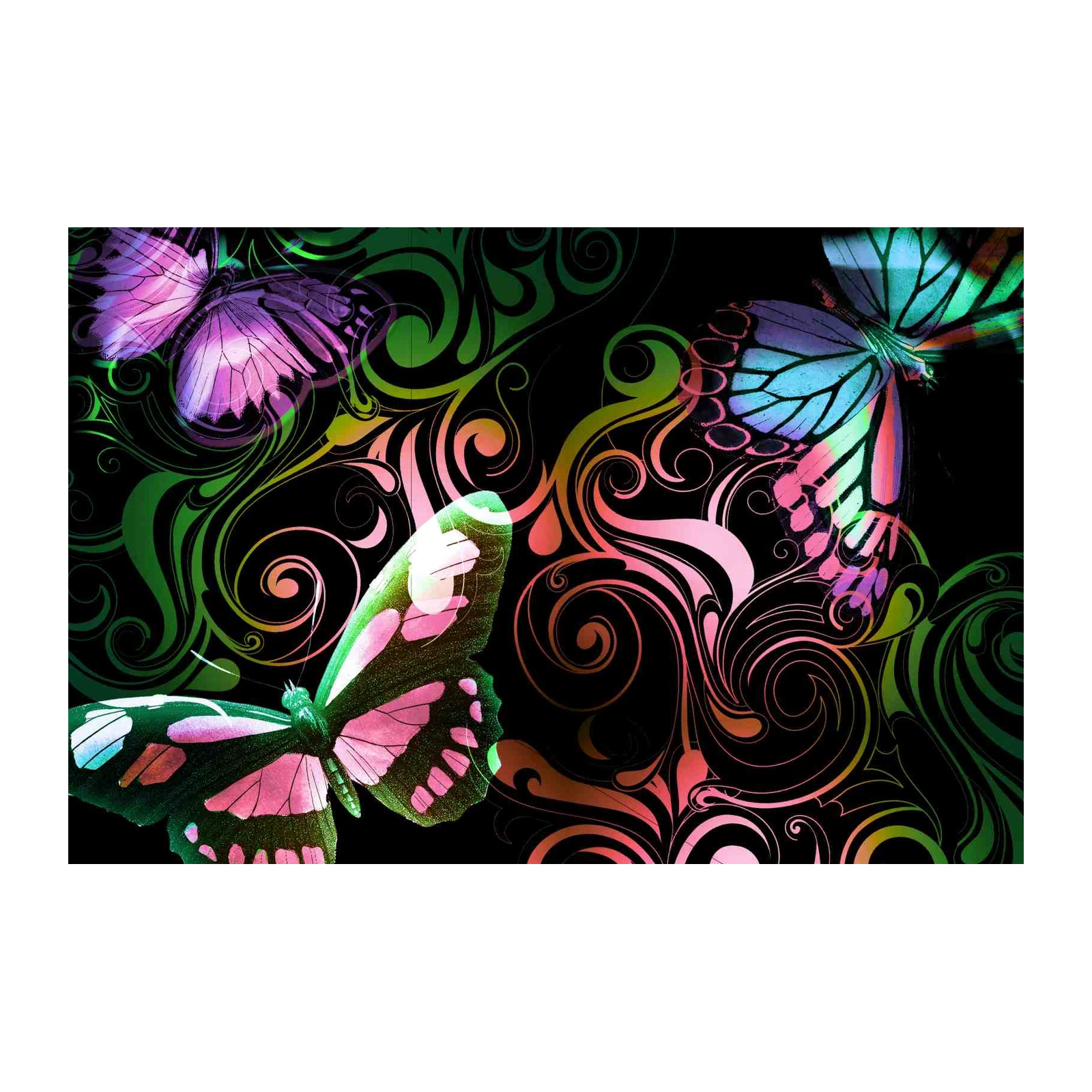 Vibrant Butterfly Swirls Art Wall Art