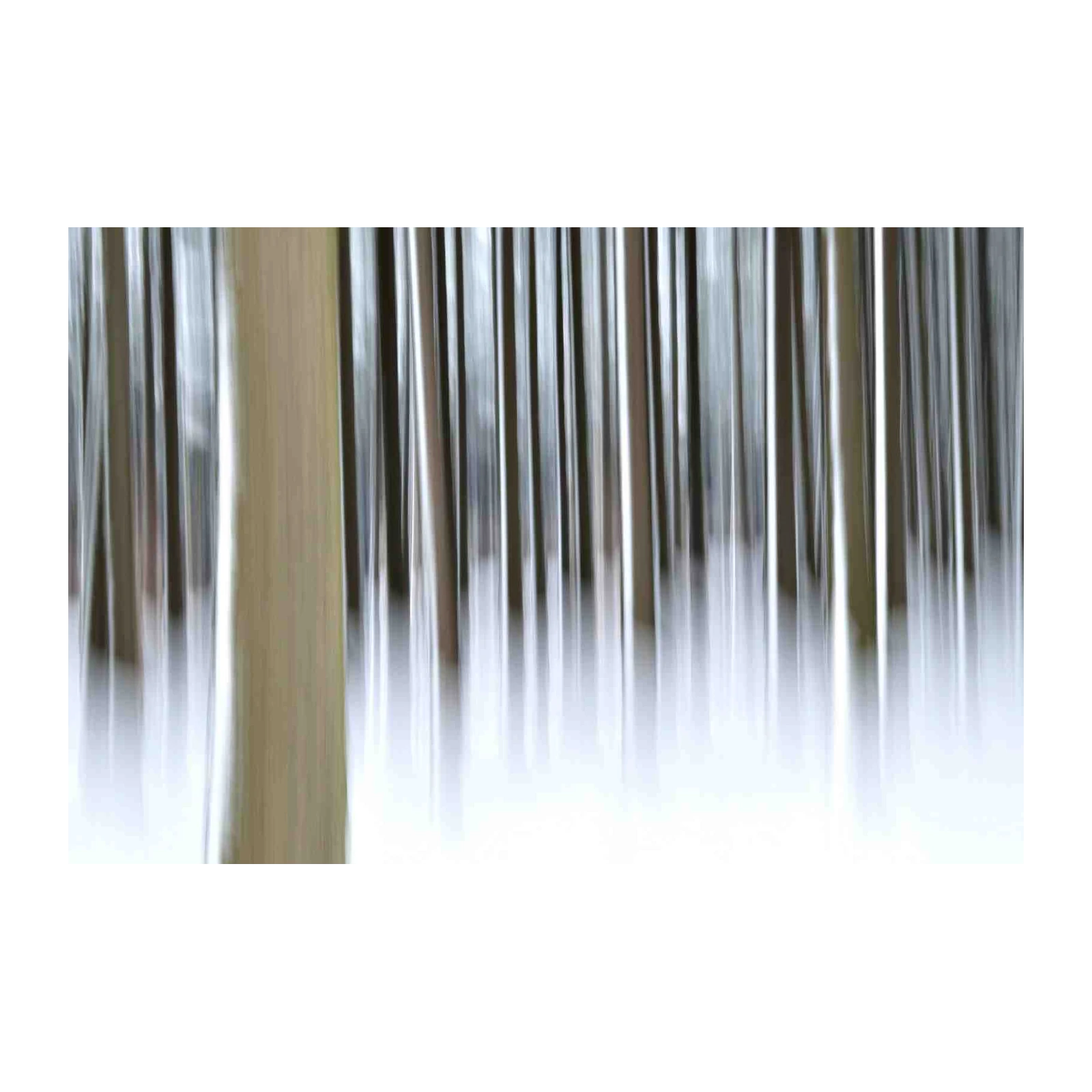 Abstract Forest Landscape Wall Art