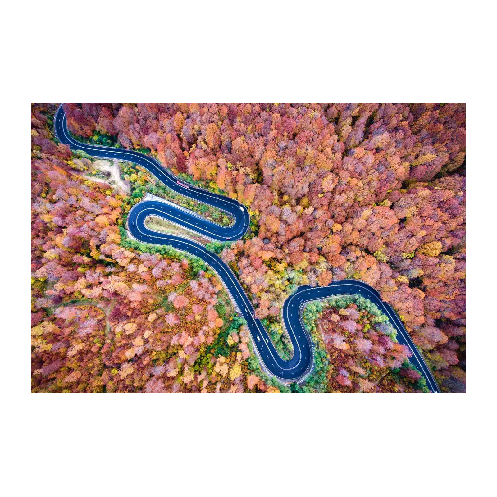 Autumn Mountain Road Serpentine Wall Art