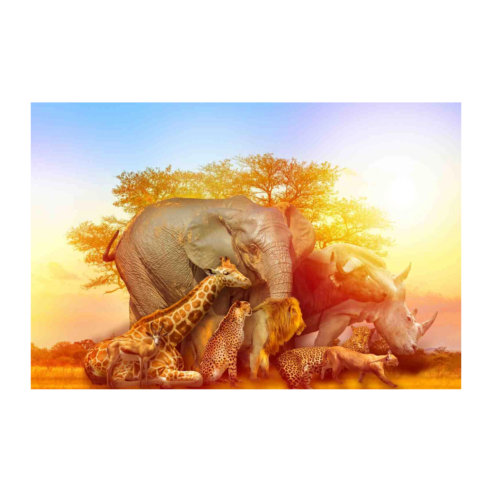 Majestic African Safari Animals Wall Art