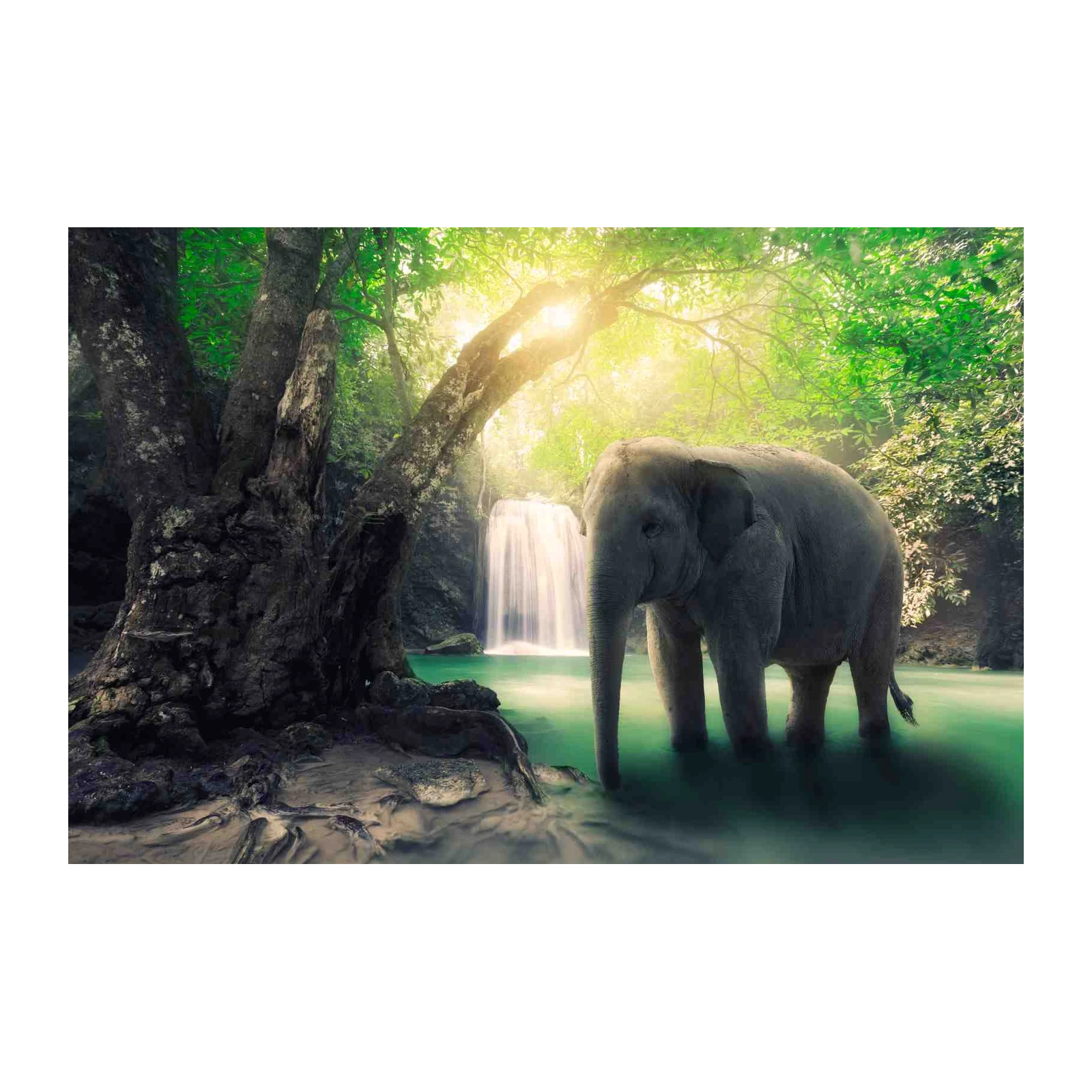 Serene Elephant Waterfall Nature Wall Art