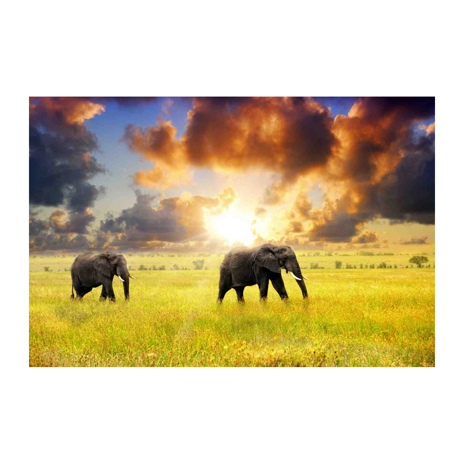 Majestic Elephants Safari Sunset Wall Art