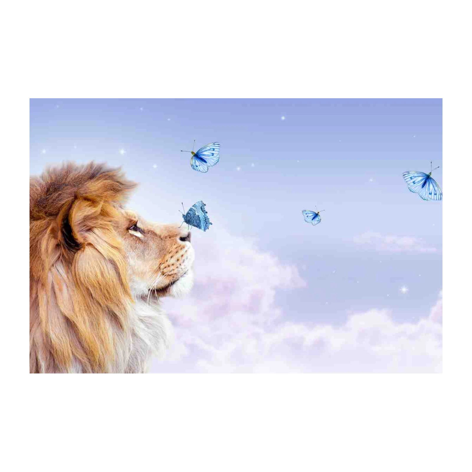 Majestic Lion & Butterflies Dreamy Sky Wall Art