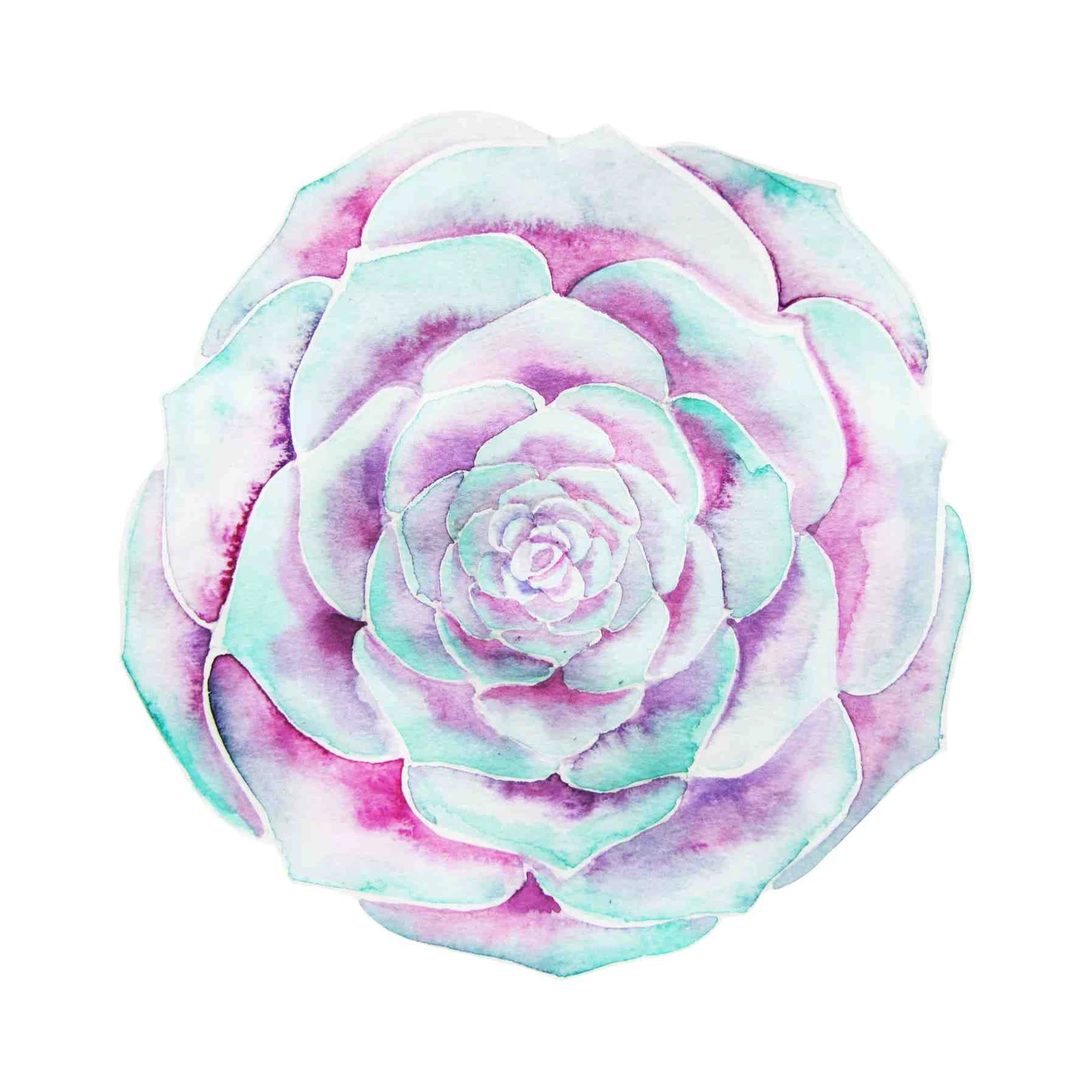 Pastel Succulent Watercolor Wall Art