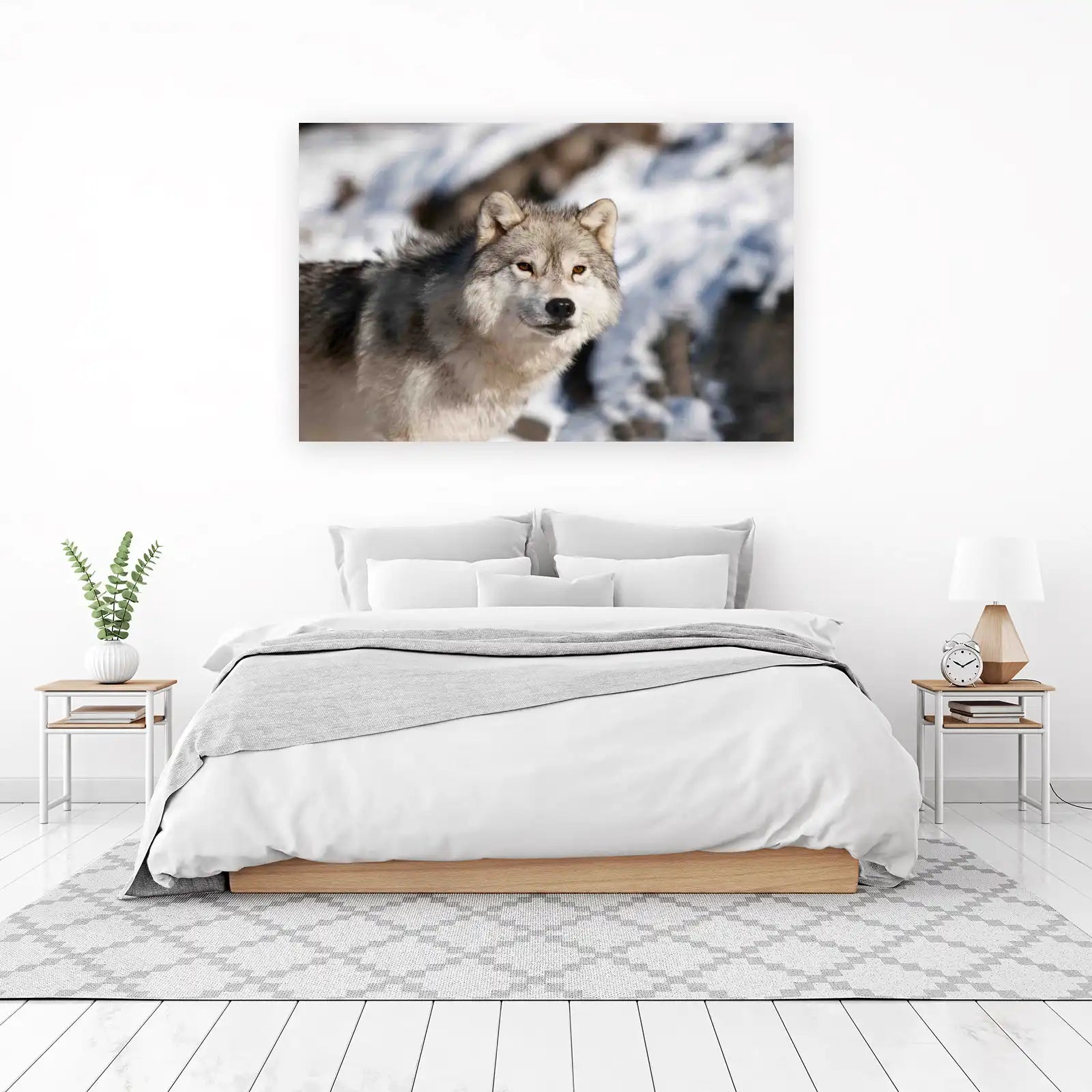 Majestic Wolf Gaze Winter Wildlife Wall Art