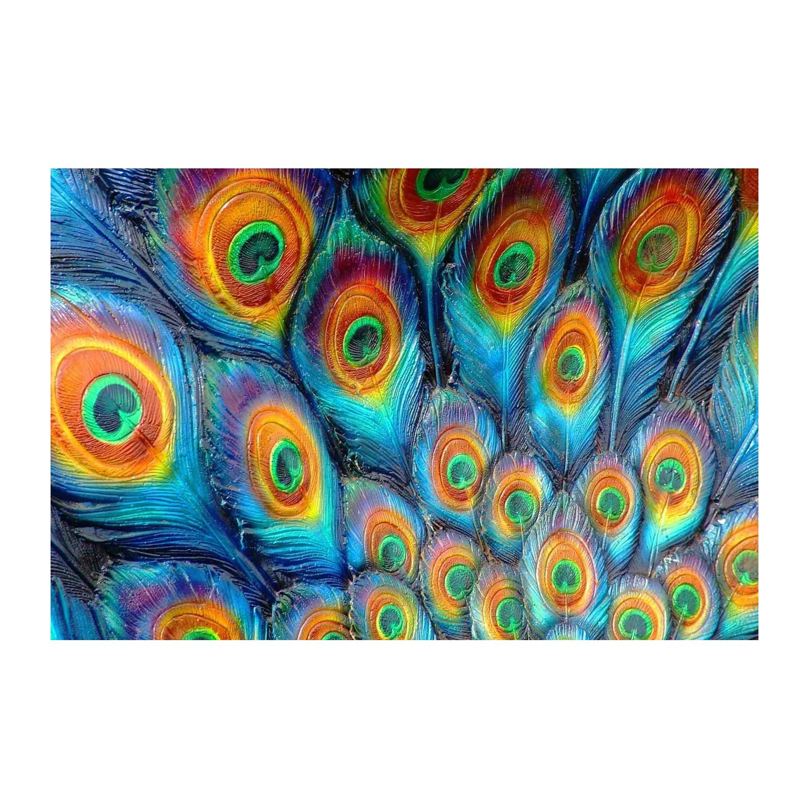 Vibrant Peacock Feather Wall Art Wall Art
