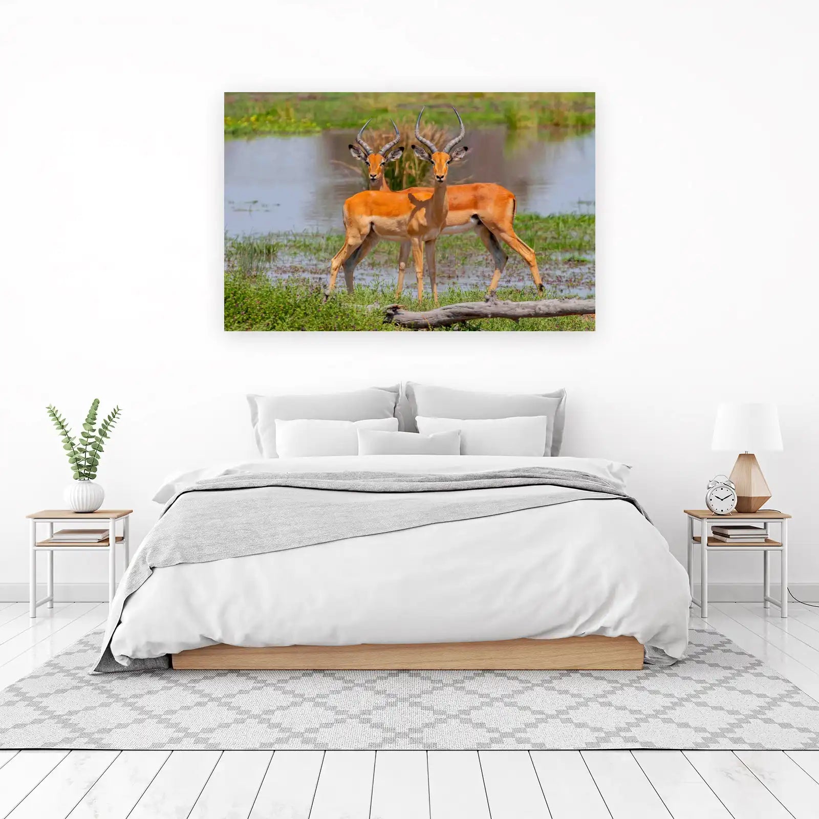 Majestic Antelope Pair African Safari Wall Art