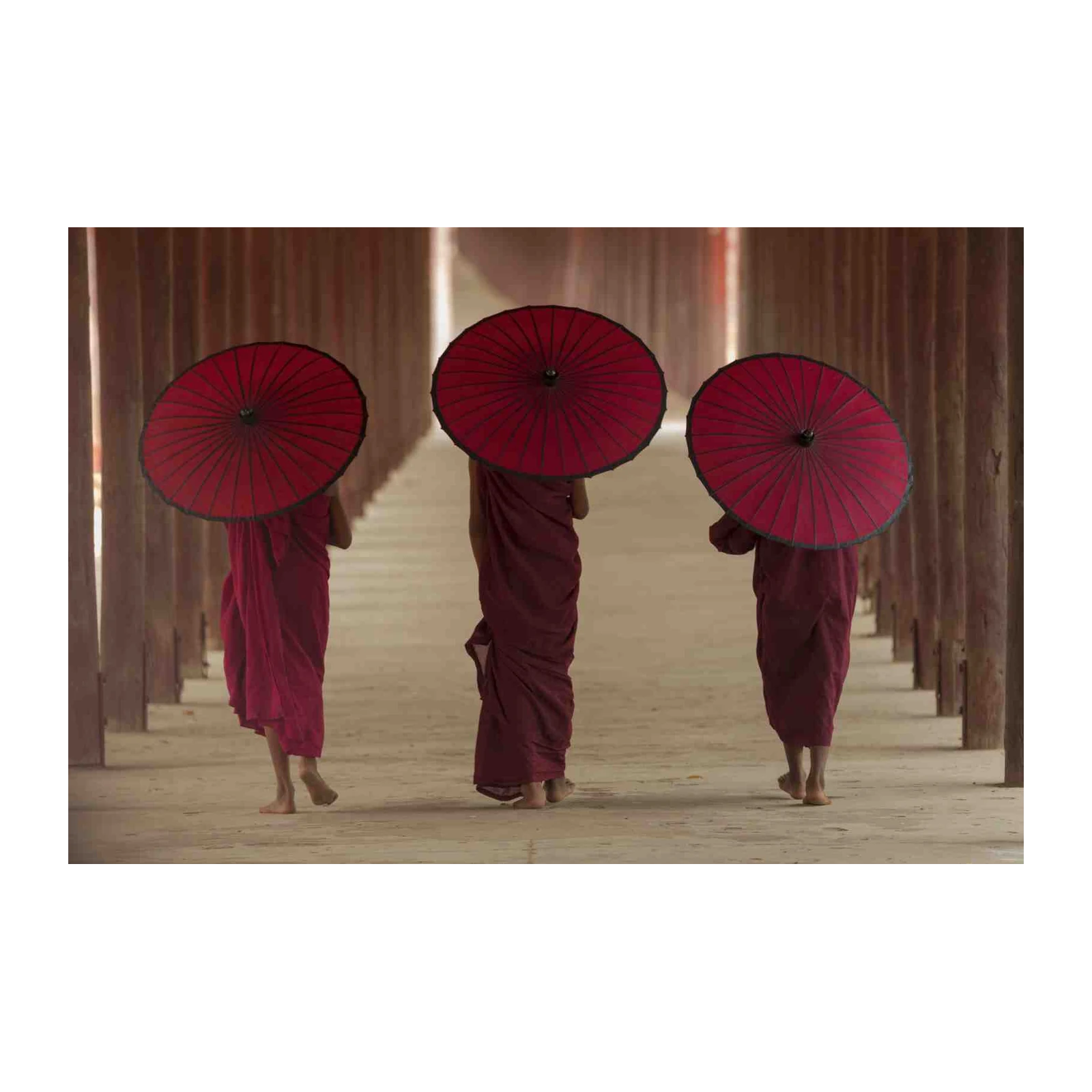 Serene Monks Red Umbrellas Wall Art