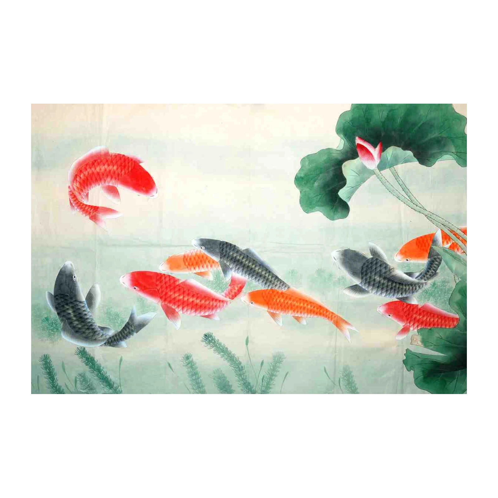 Serene Koi Fish & Lotus Flower Wall Art
