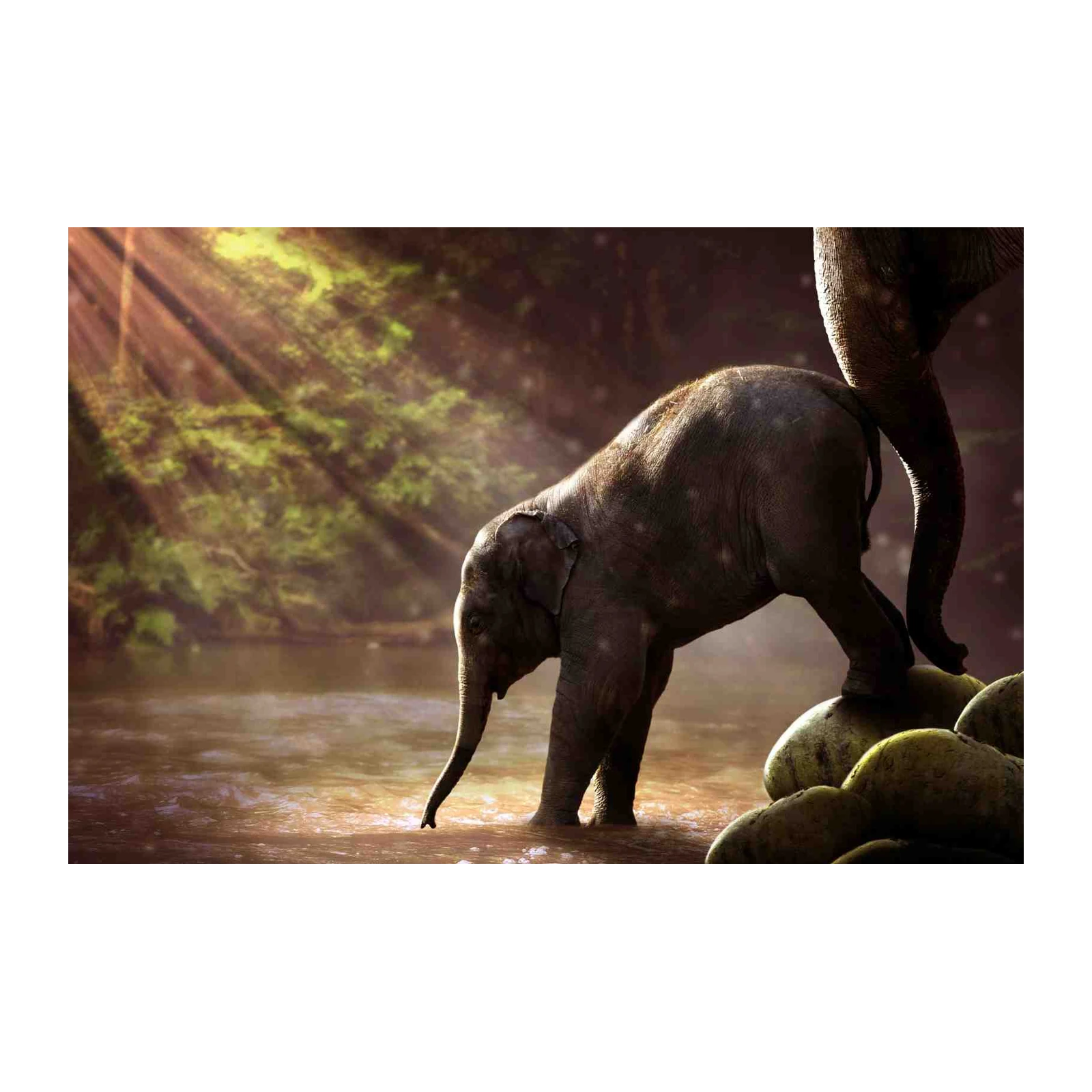 Baby Elephant River Light Wall Art