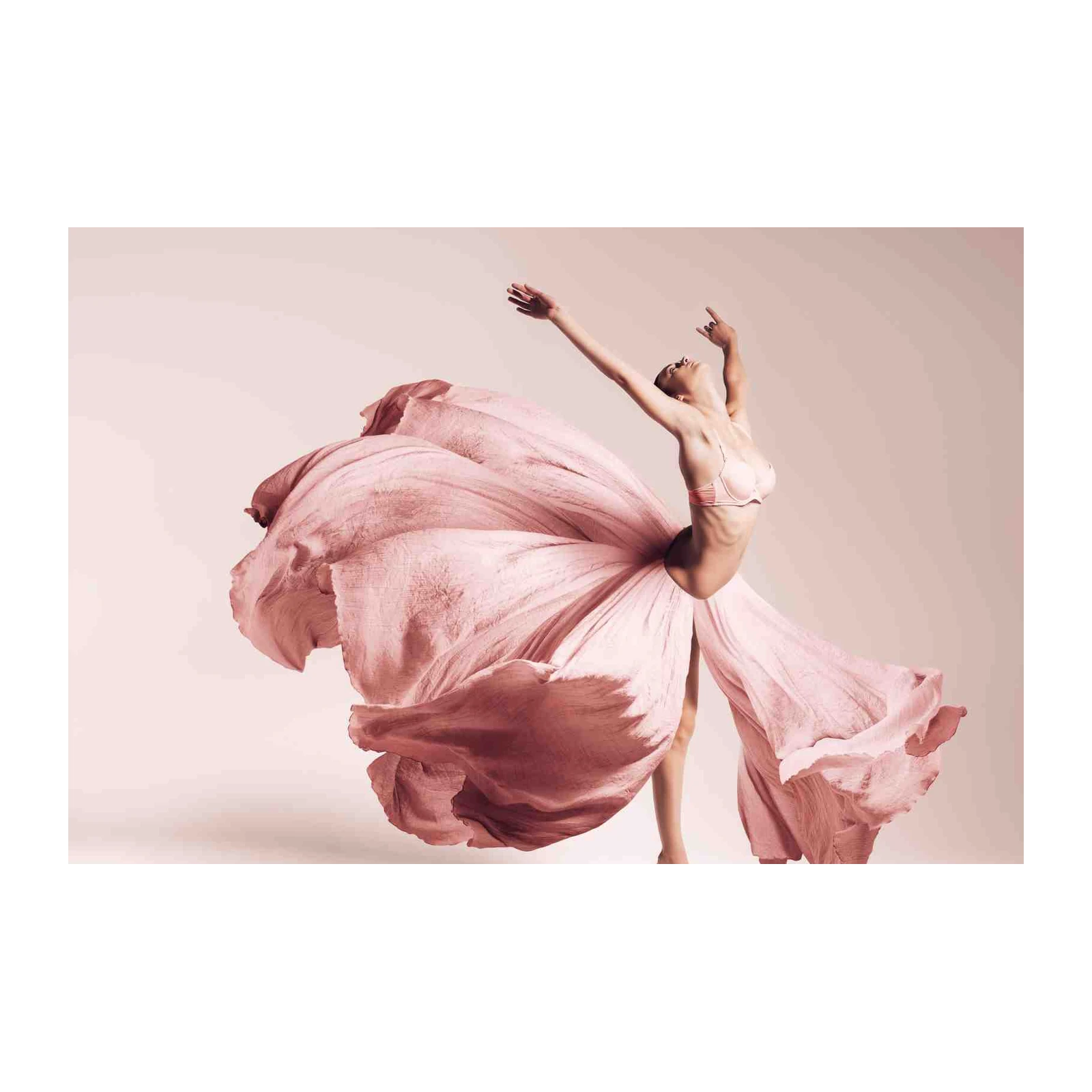 Elegant Pink Dancer Floral Art Wall Art