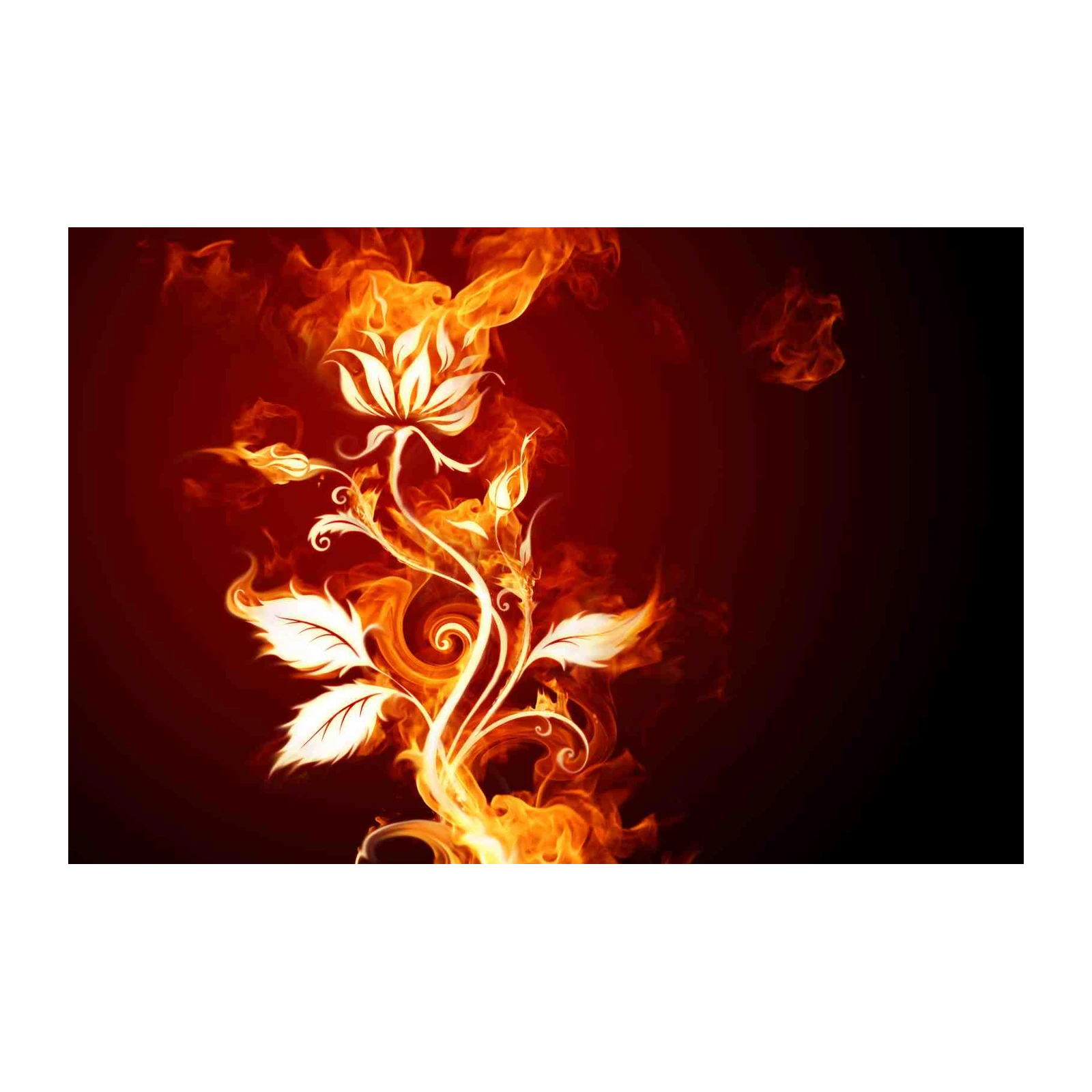 Fiery Floral Elegance Wall Art