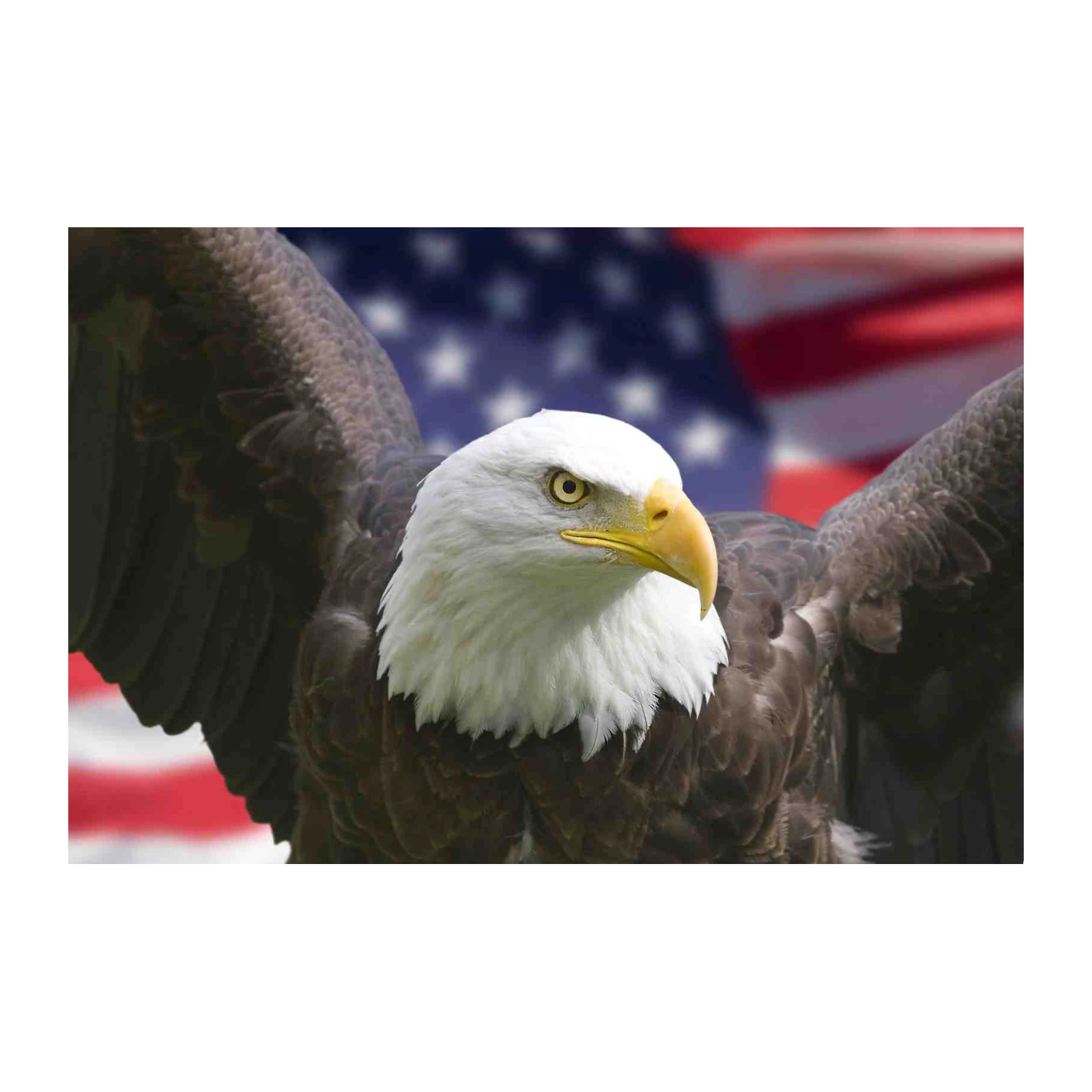 Majestic Eagle American Flag Wall Art