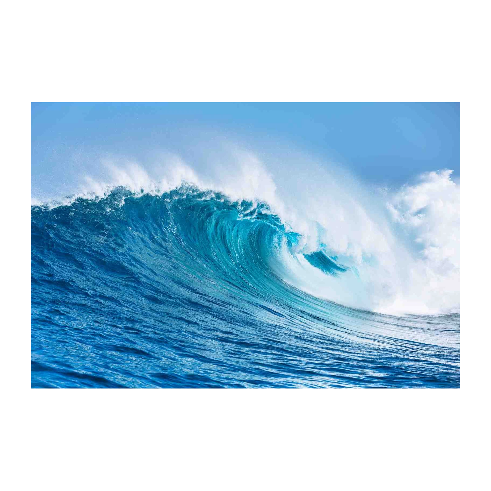 Majestic Ocean Wave Wall Art