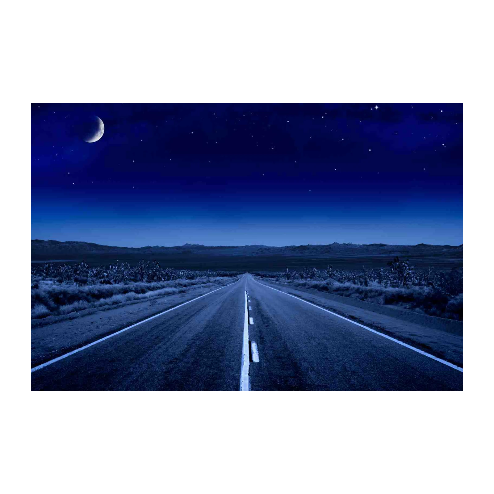 Desert Highway Under Moonlit Sky Wall Art