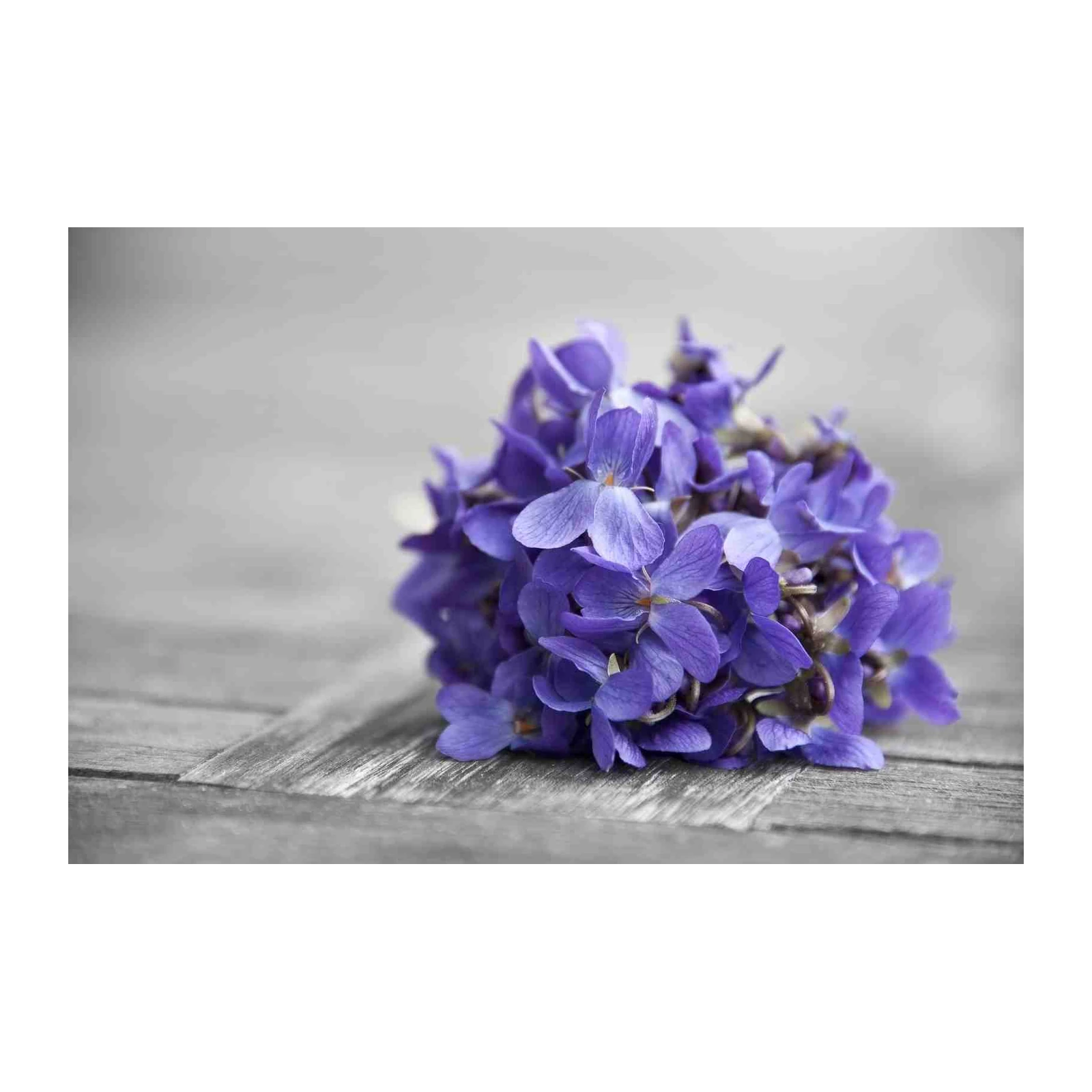 Serene Violet Blooms Rustic Wooden Wall Art