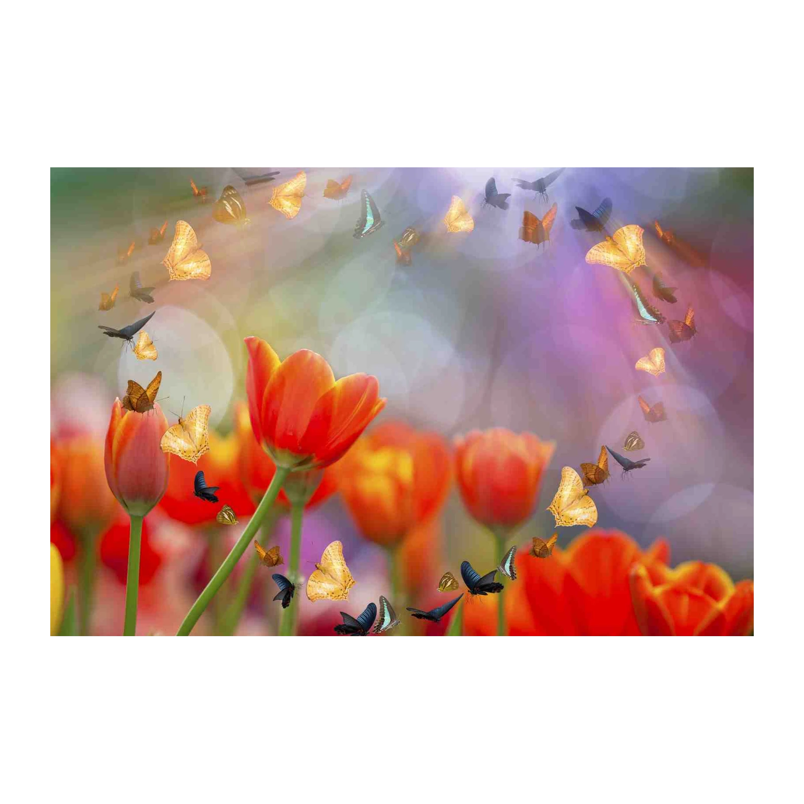Vibrant Butterfly Tulip Garden Wall Art