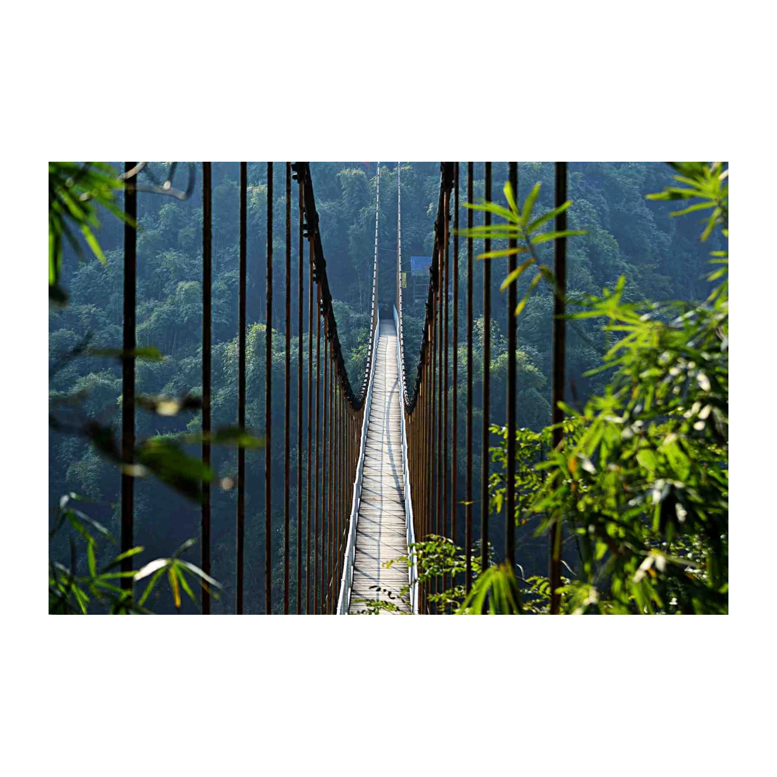 Suspension Bridge Nature Escape Wall Art
