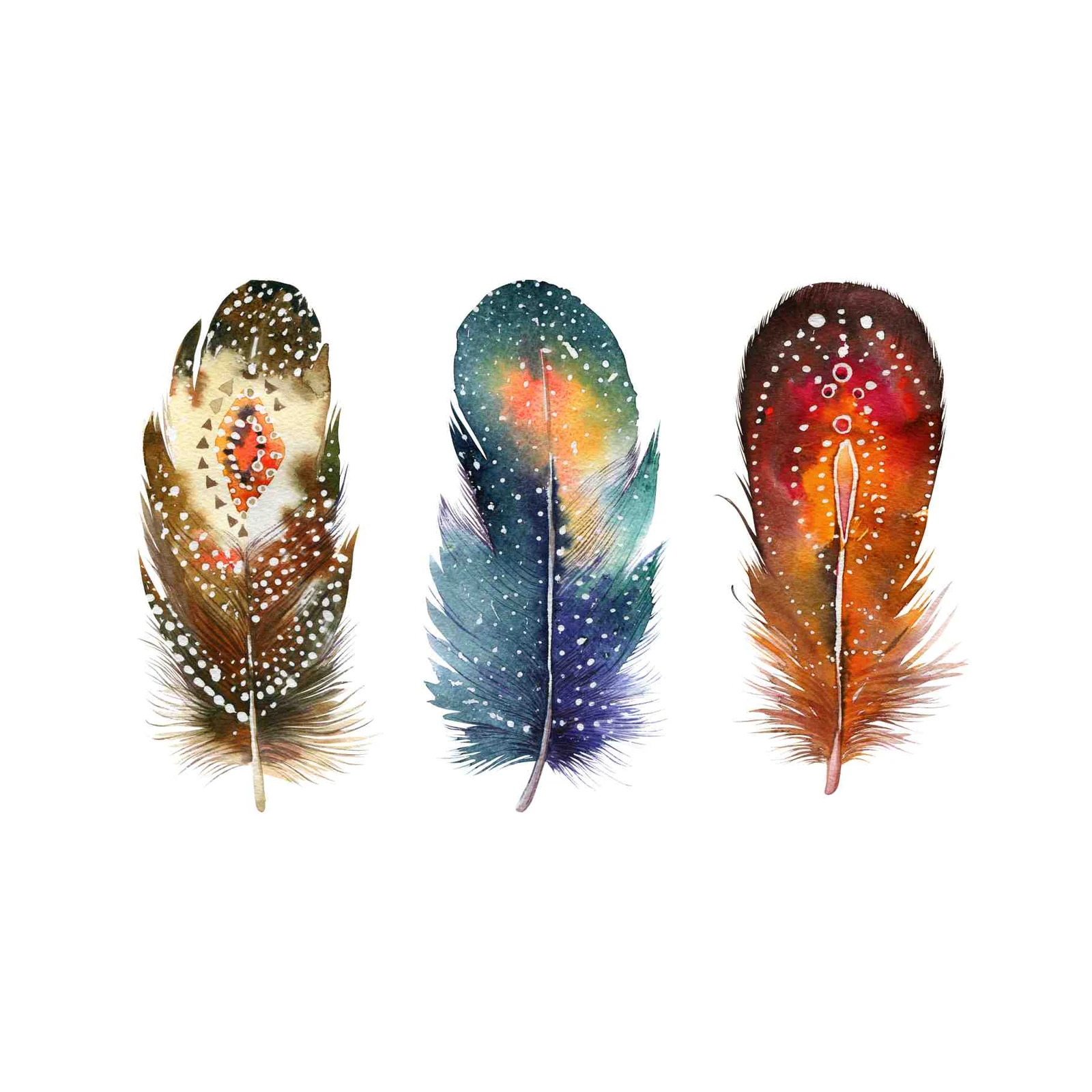 Boho Watercolor Feathers Wall Art Art