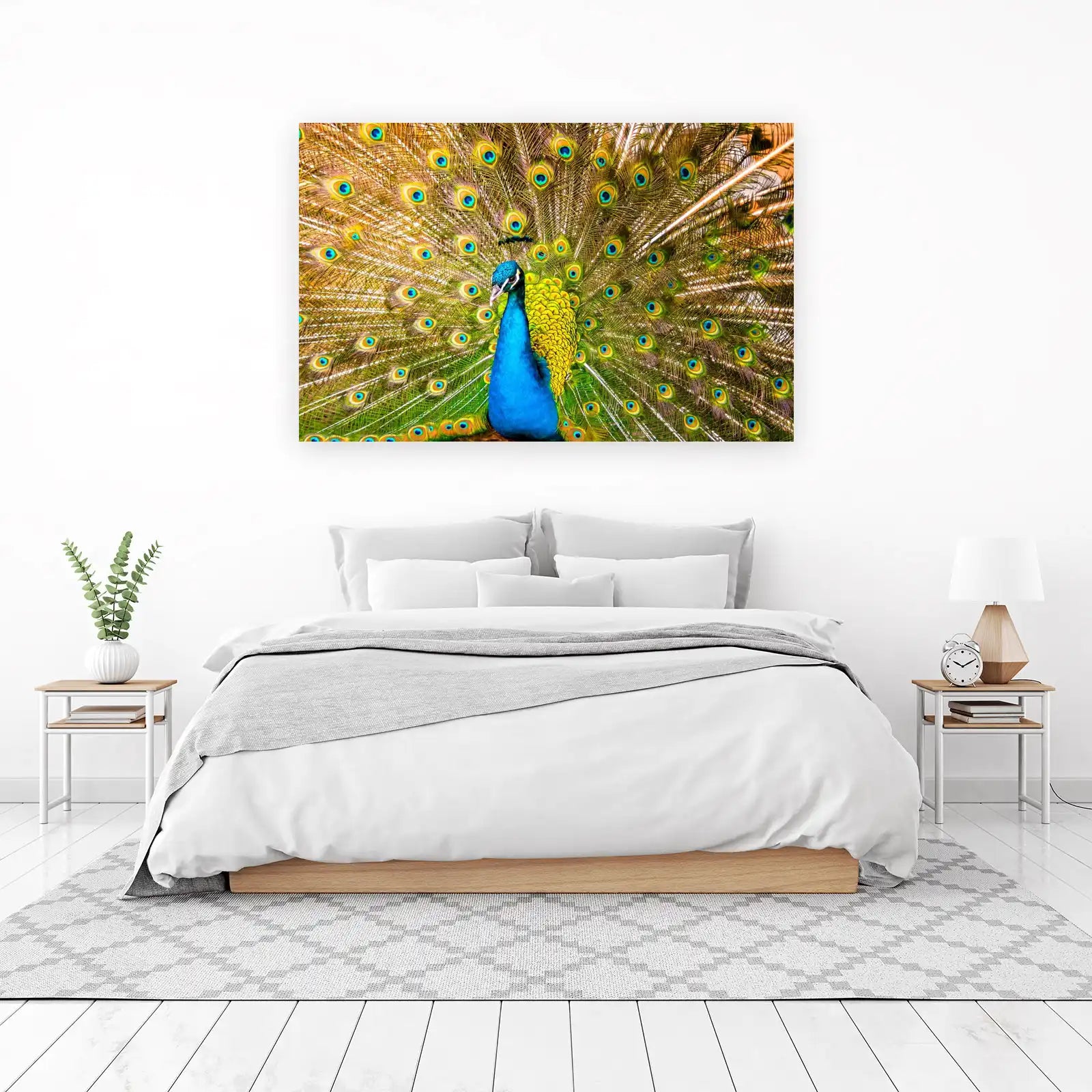Majestic Peacock Display Wall Art