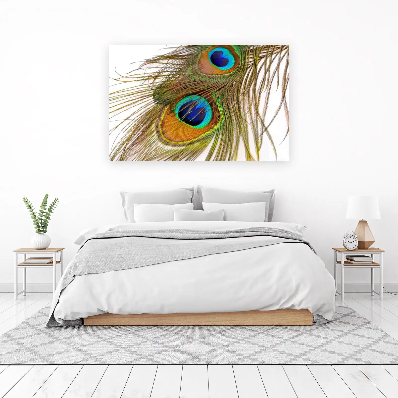 Vibrant Peacock Feather Wall Art Art