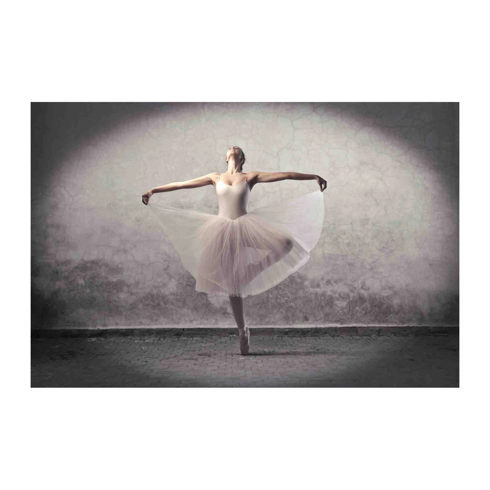 Elegant Ballerina Dance Pose Wall Art