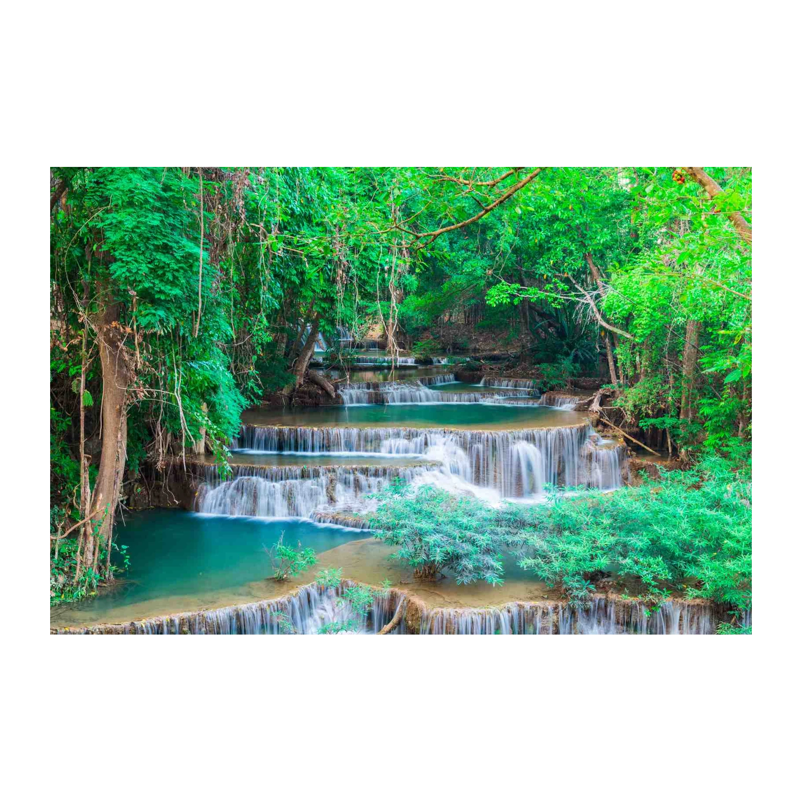Serene Rainforest Waterfall Wall Art