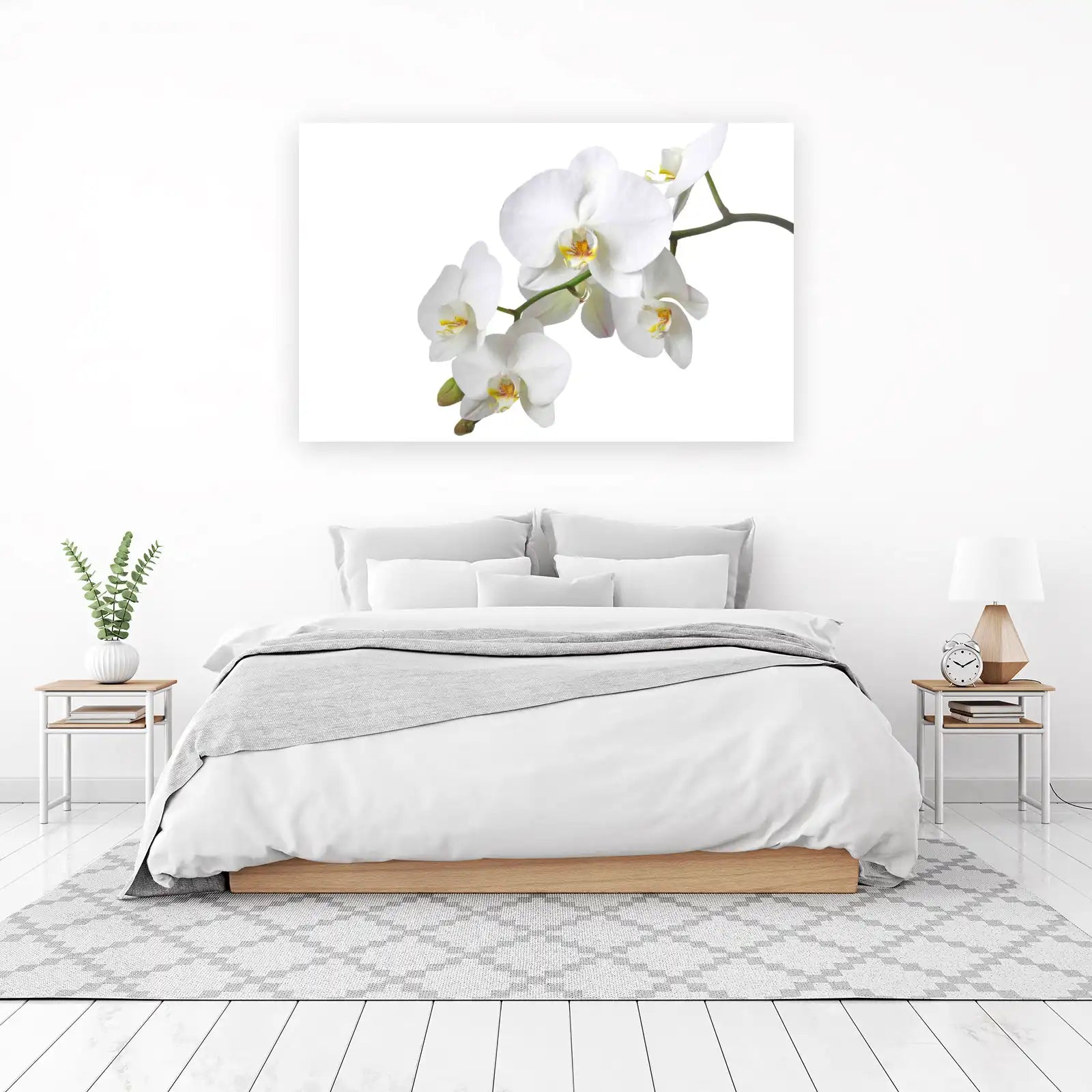 Elegant White Orchid Bloom Wall Art