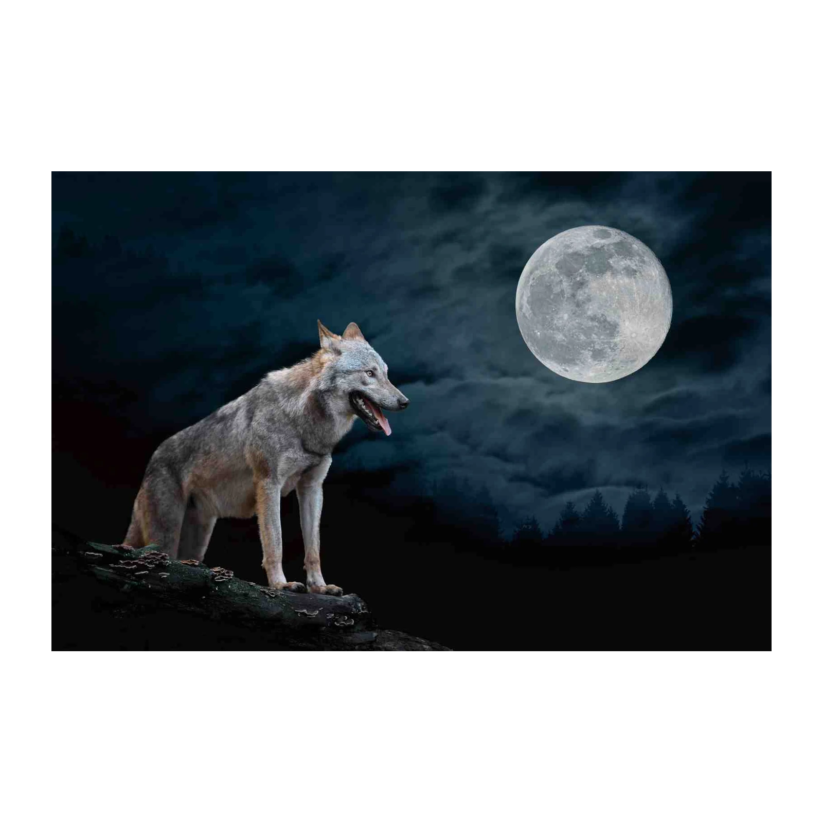 Majestic Wolf Moonlit Howl Wall Art