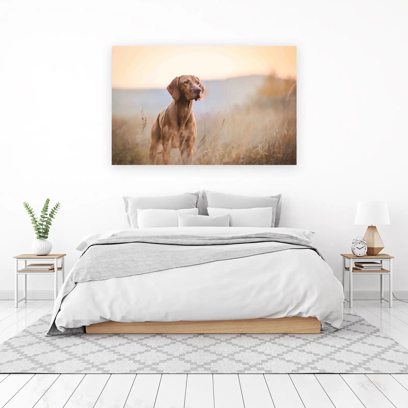 Golden Vizsla in Field Wall Art