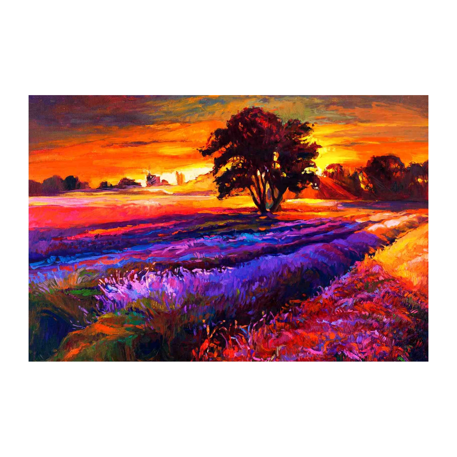 Vibrant Sunset Lavender Field Wall Art
