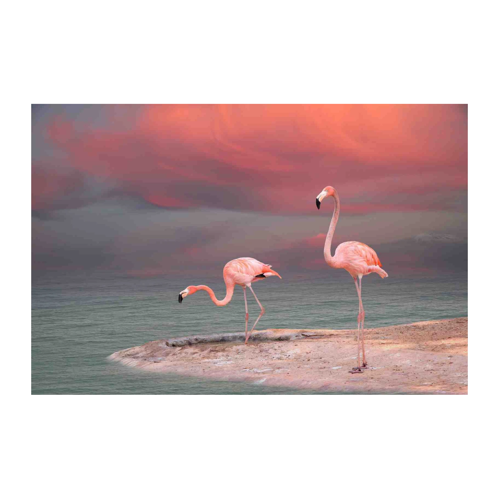 Elegant Flamingos Sunset Serenity Wall Art