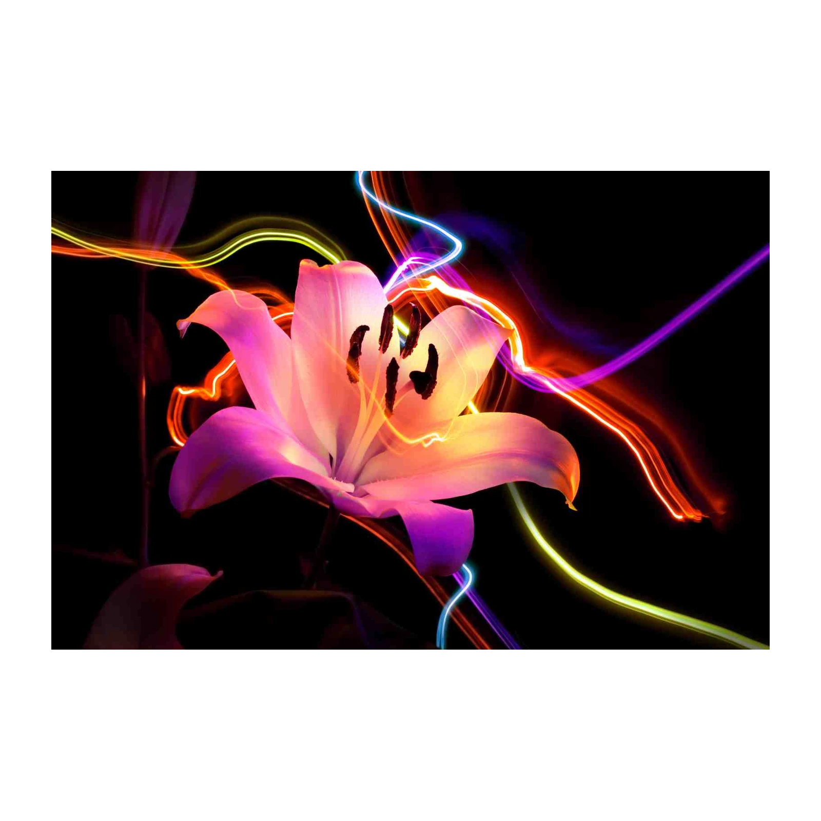Neon Lily Bloom Wall Art