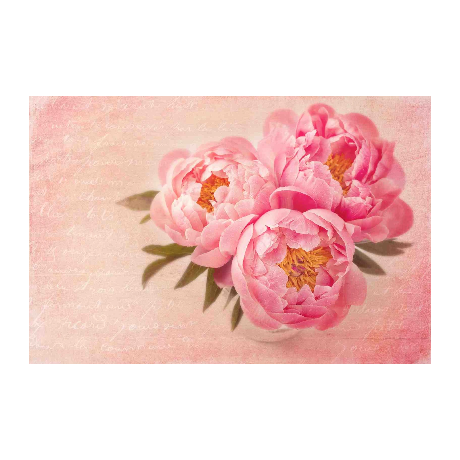 Pink Peony Floral French Script Wall Art