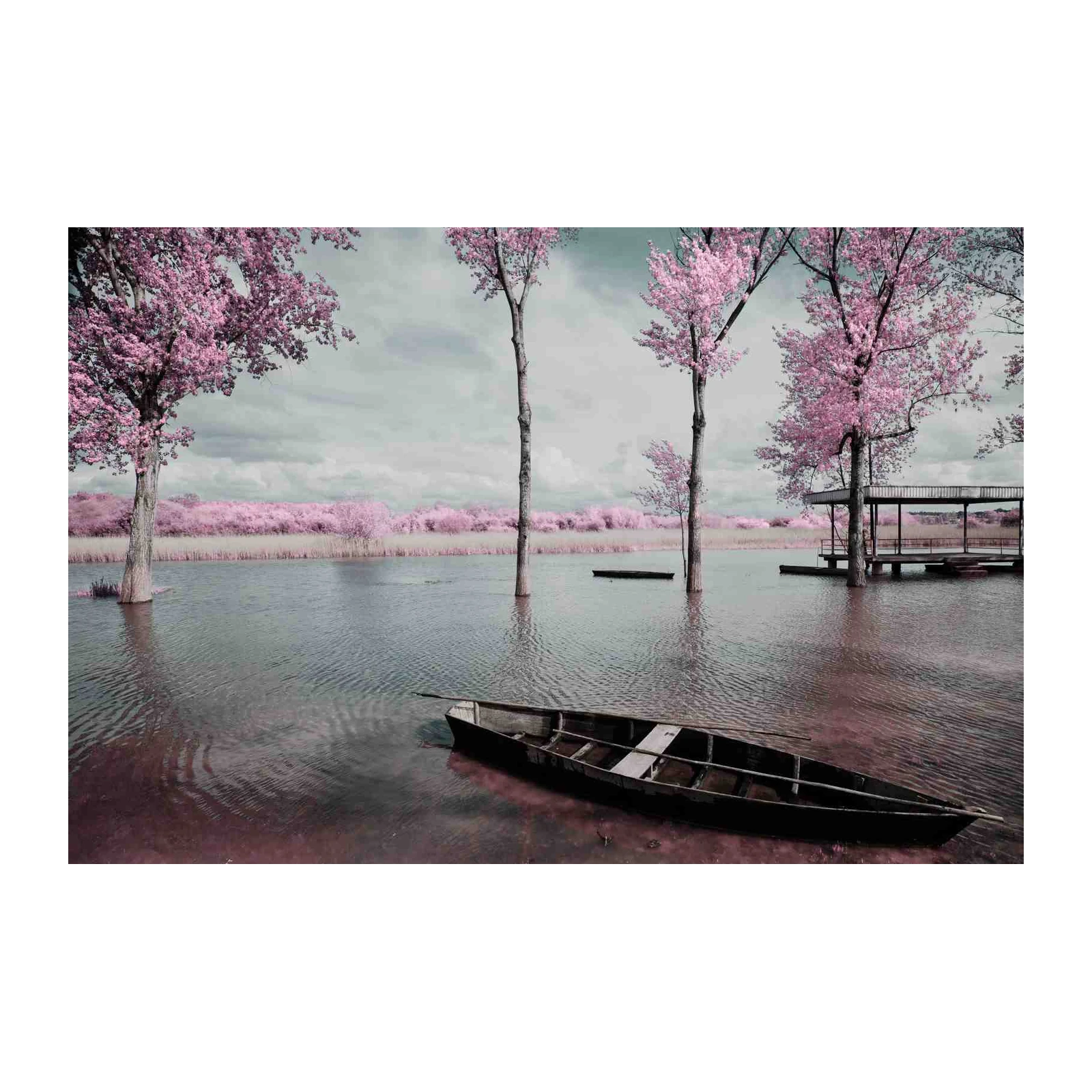 Pink Blossom Riverside Serenity Wall Art