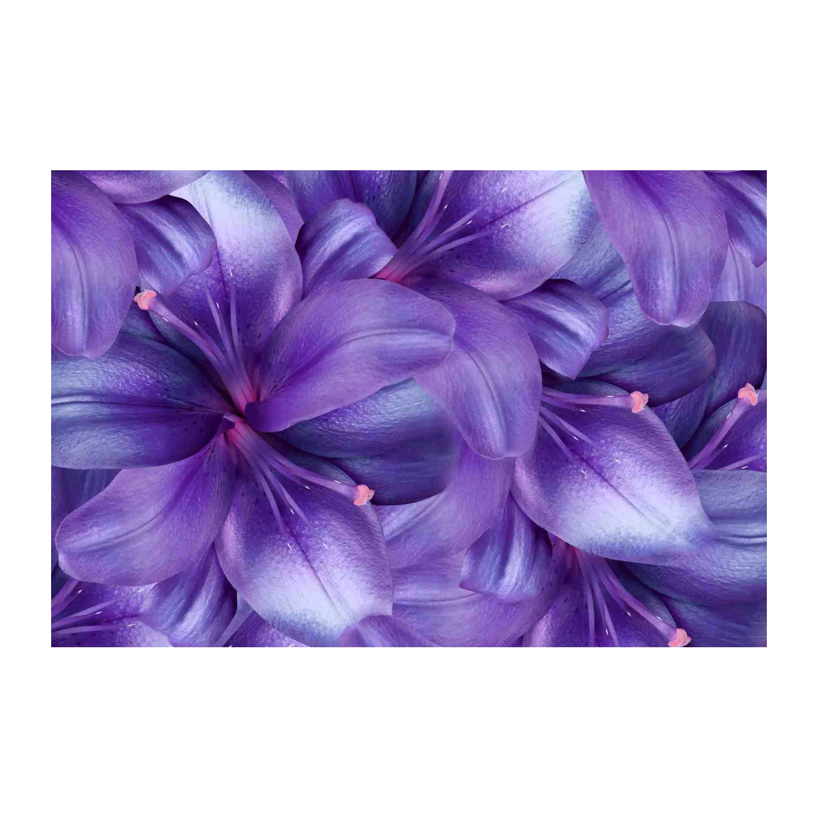 Purple Lily Floral Bloom Wall Art