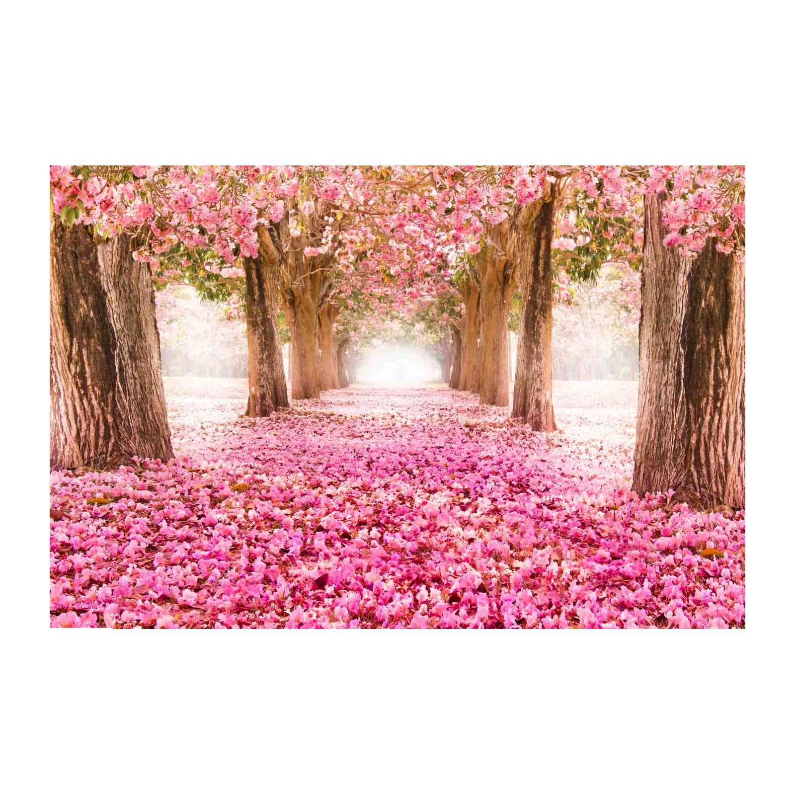 Blossoming Path Pink Floral Trees Wall Art