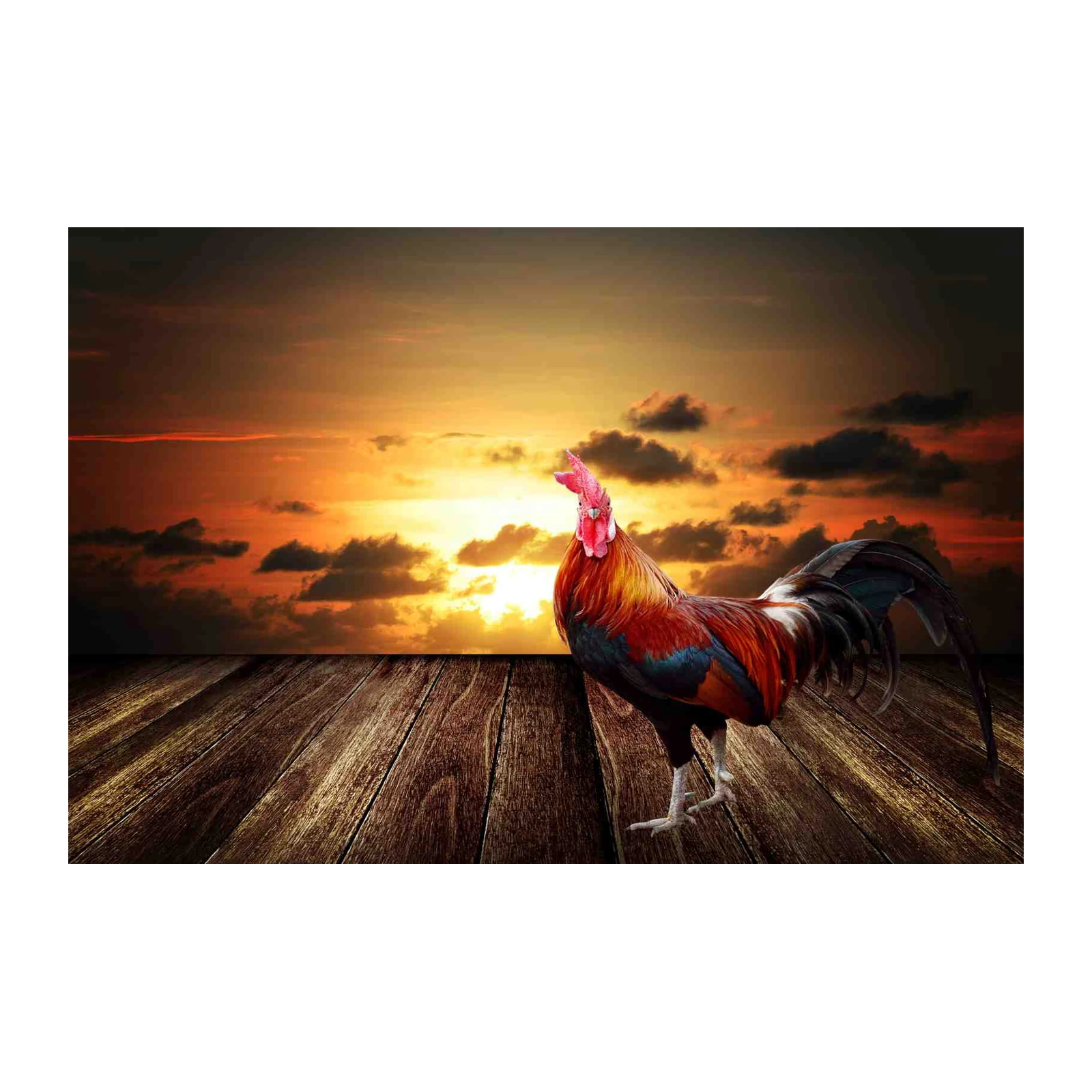 Majestic Rooster Sunset Wall Art Wall Art
