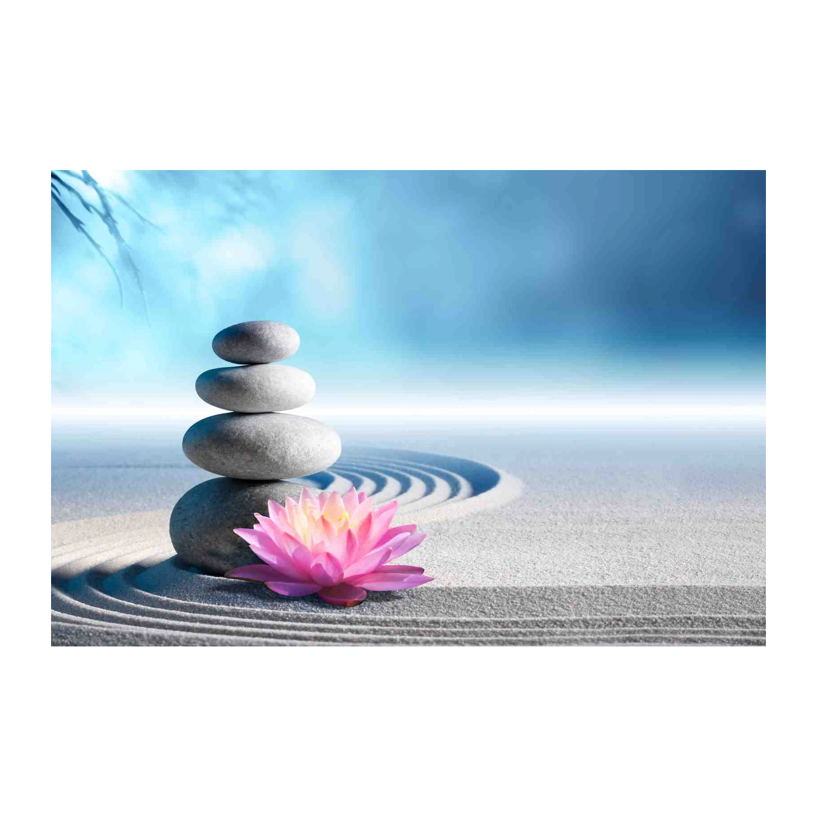 Zen Garden Serenity Lotus Wall Art