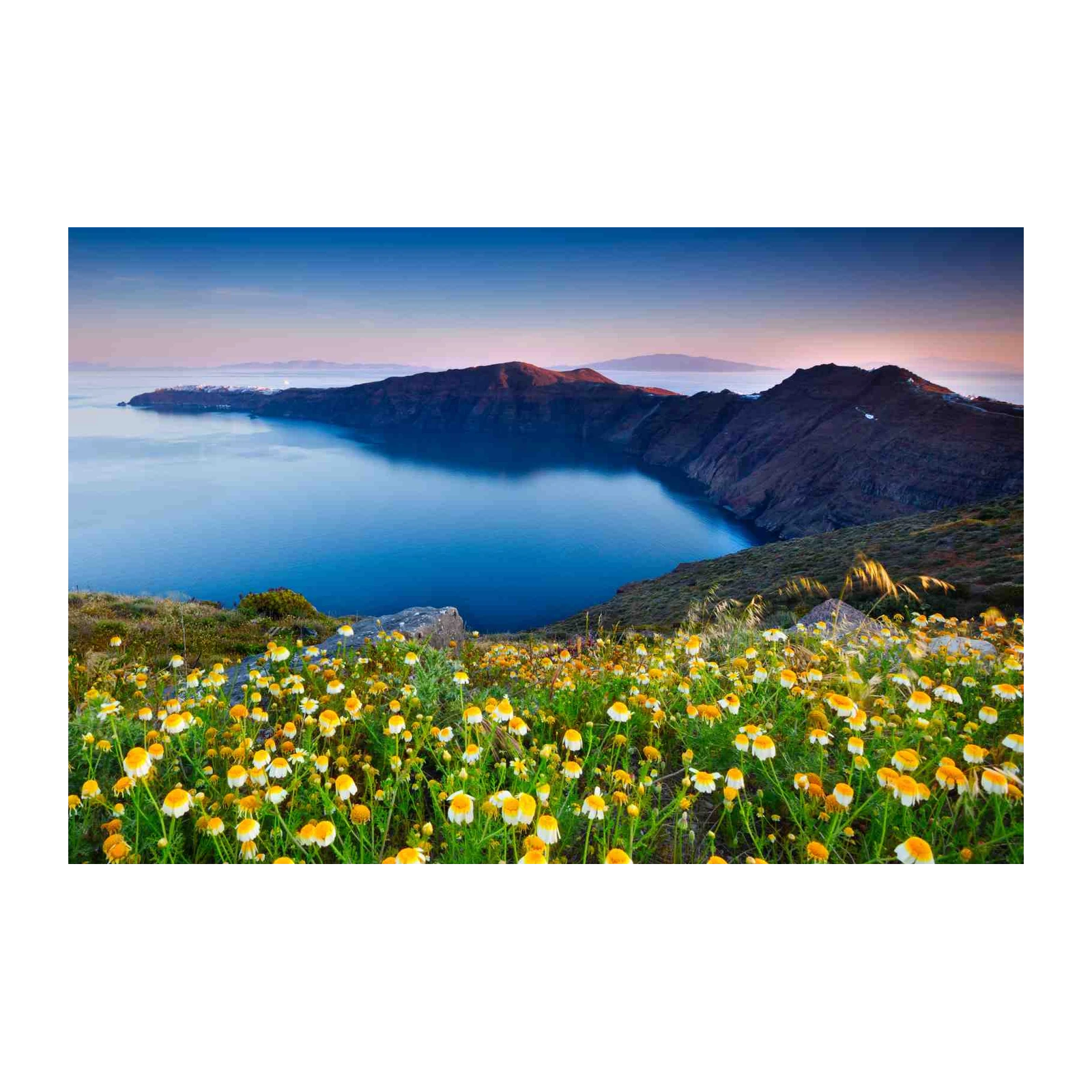 Santorini Sunset Floral Landscape Wall Art