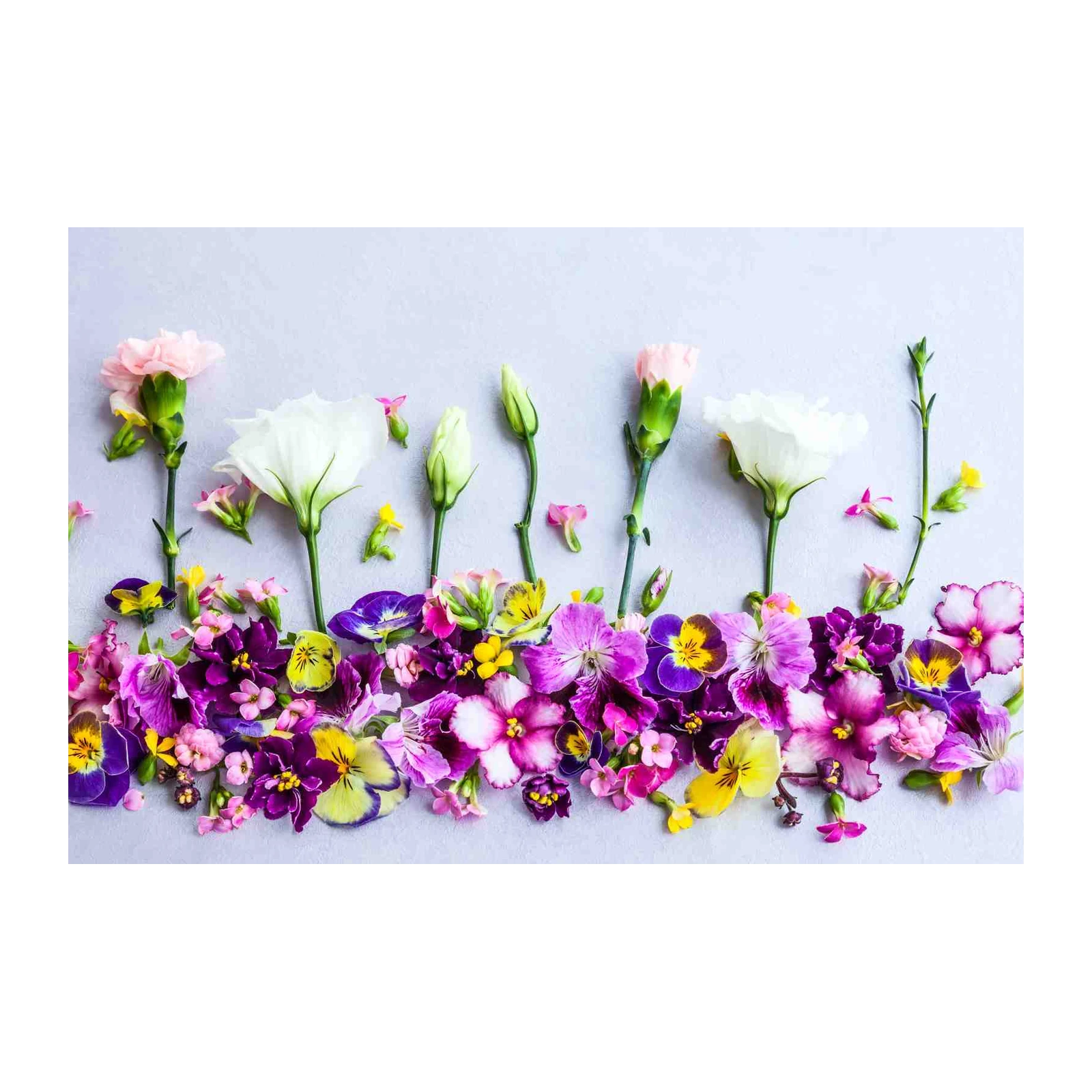 Vibrant Floral Meadow Wall Art