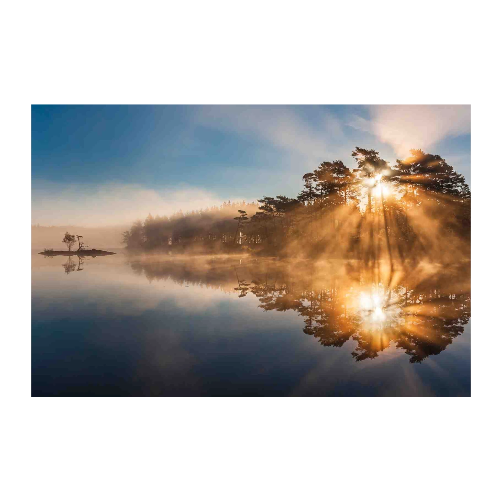 Misty Sunrise Forest Lake Wall Art