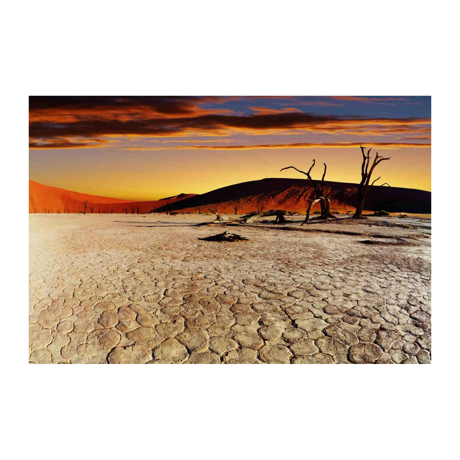 Namib Desert Cracked Earth Wall Art