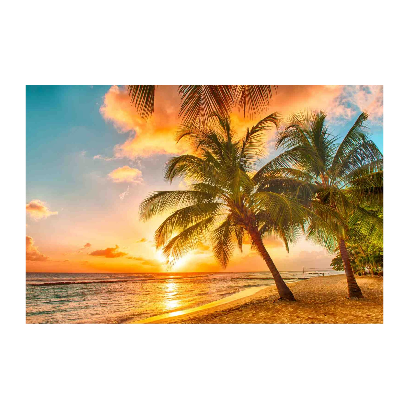 Tropical Sunset Palm Trees Beach Wall Art