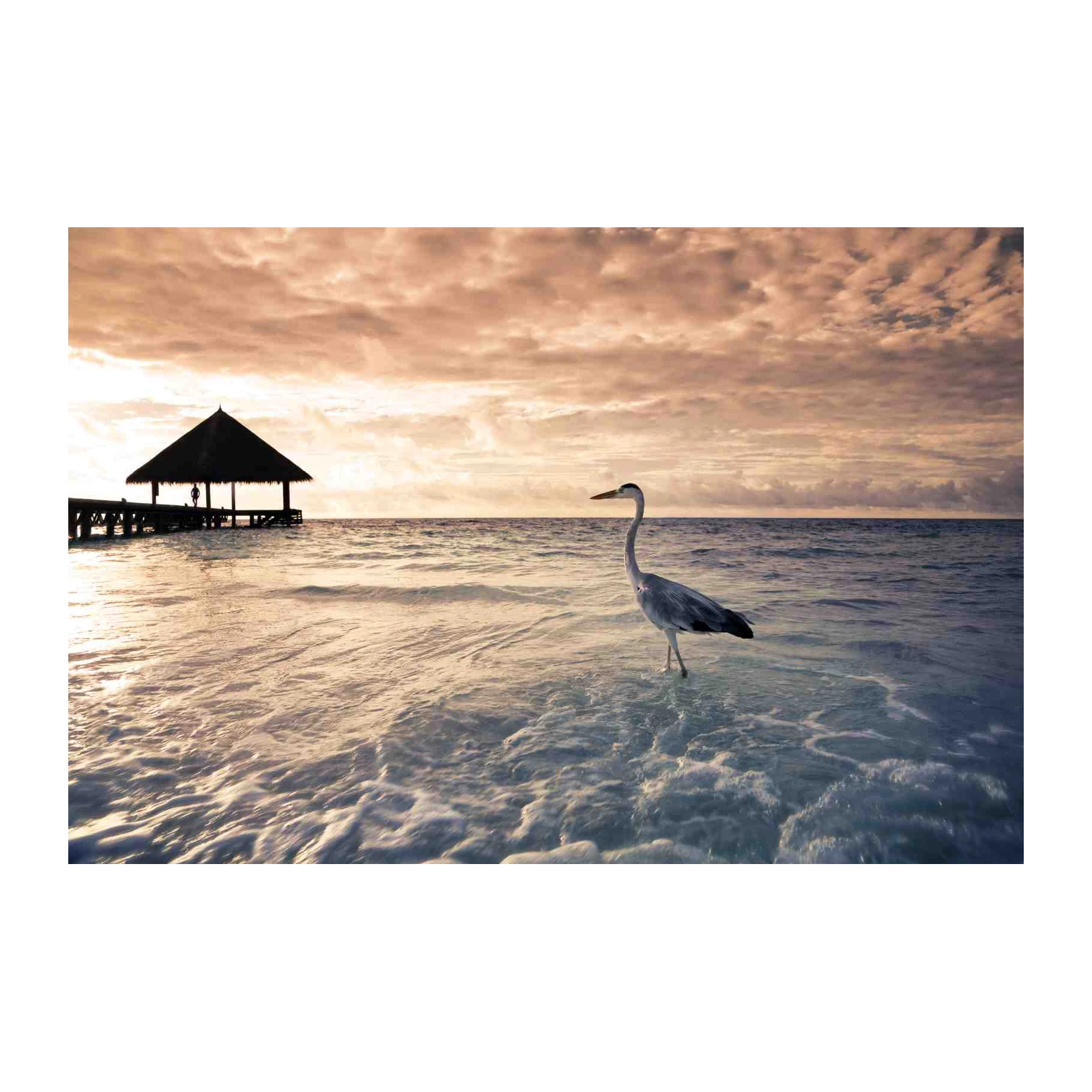 Serene Heron Beach Sunset Wall Art