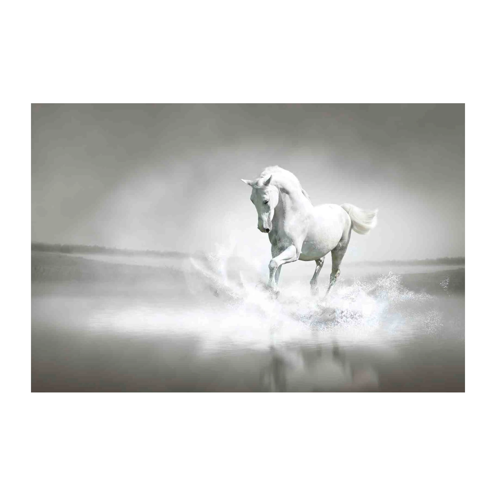 Majestic White Horse Galloping Water Wall Art