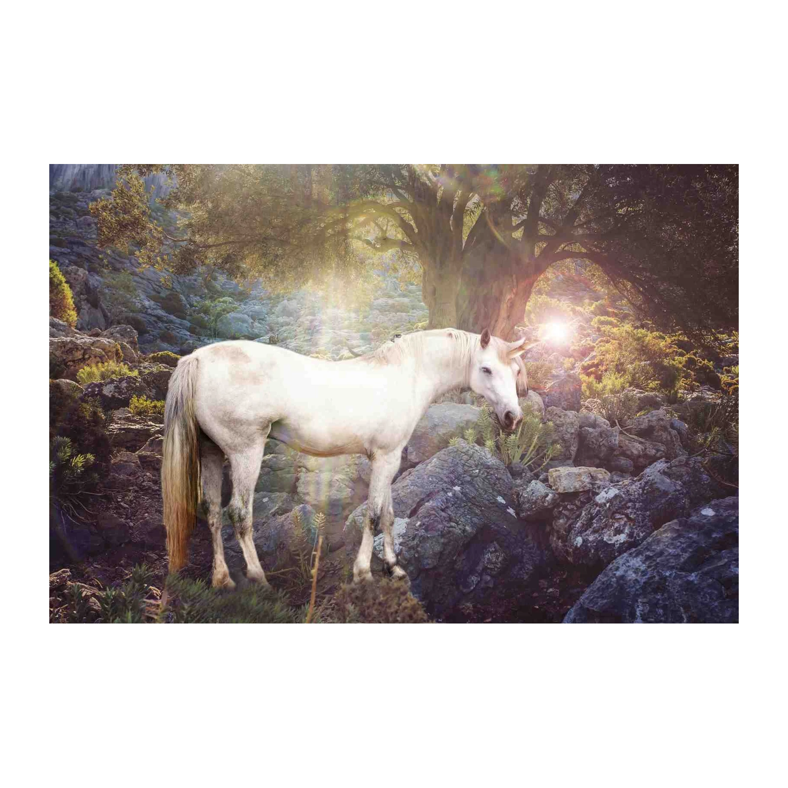 Enchanting Unicorn Forest Wall Art Wall Art